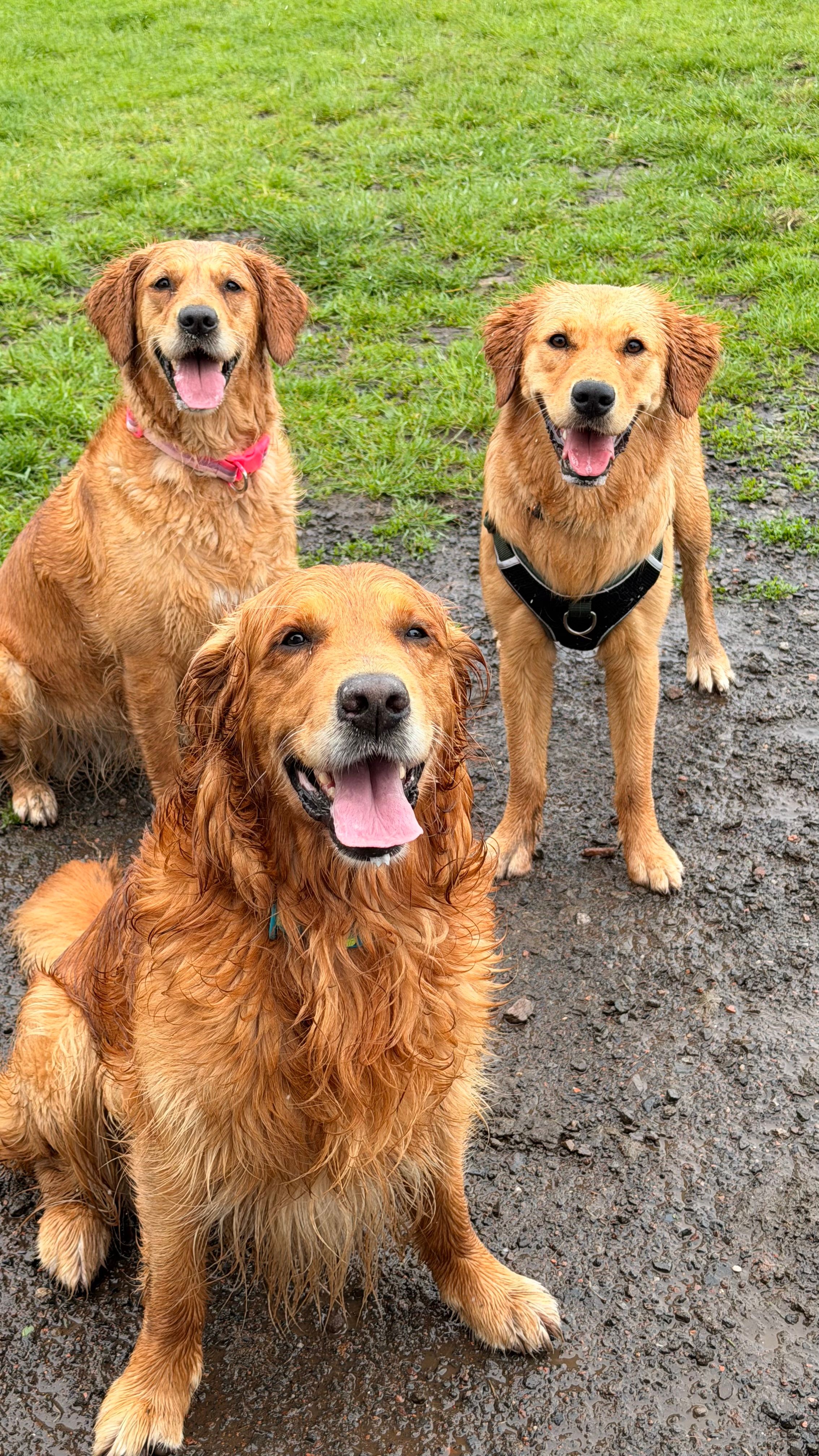 image-29