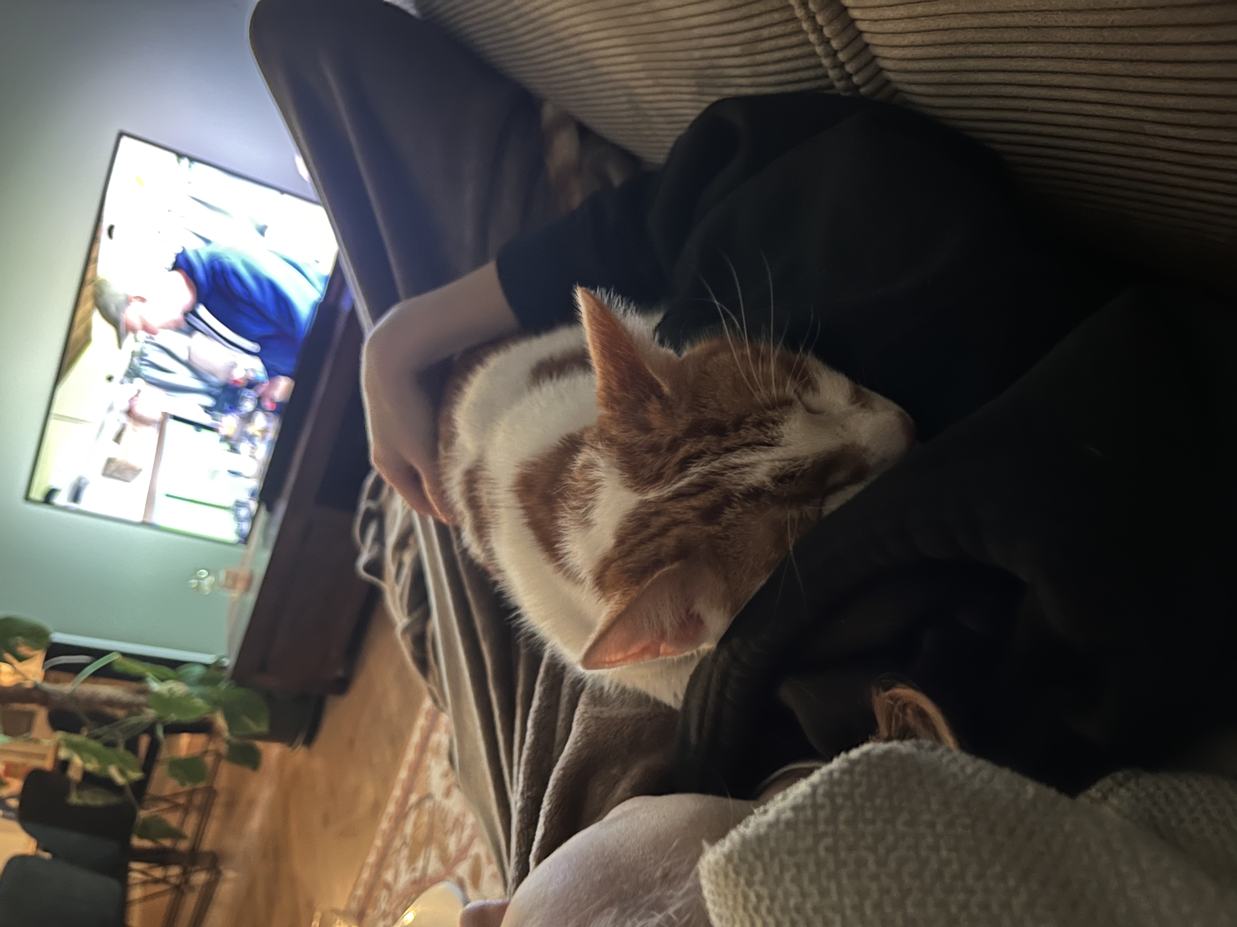 image-10