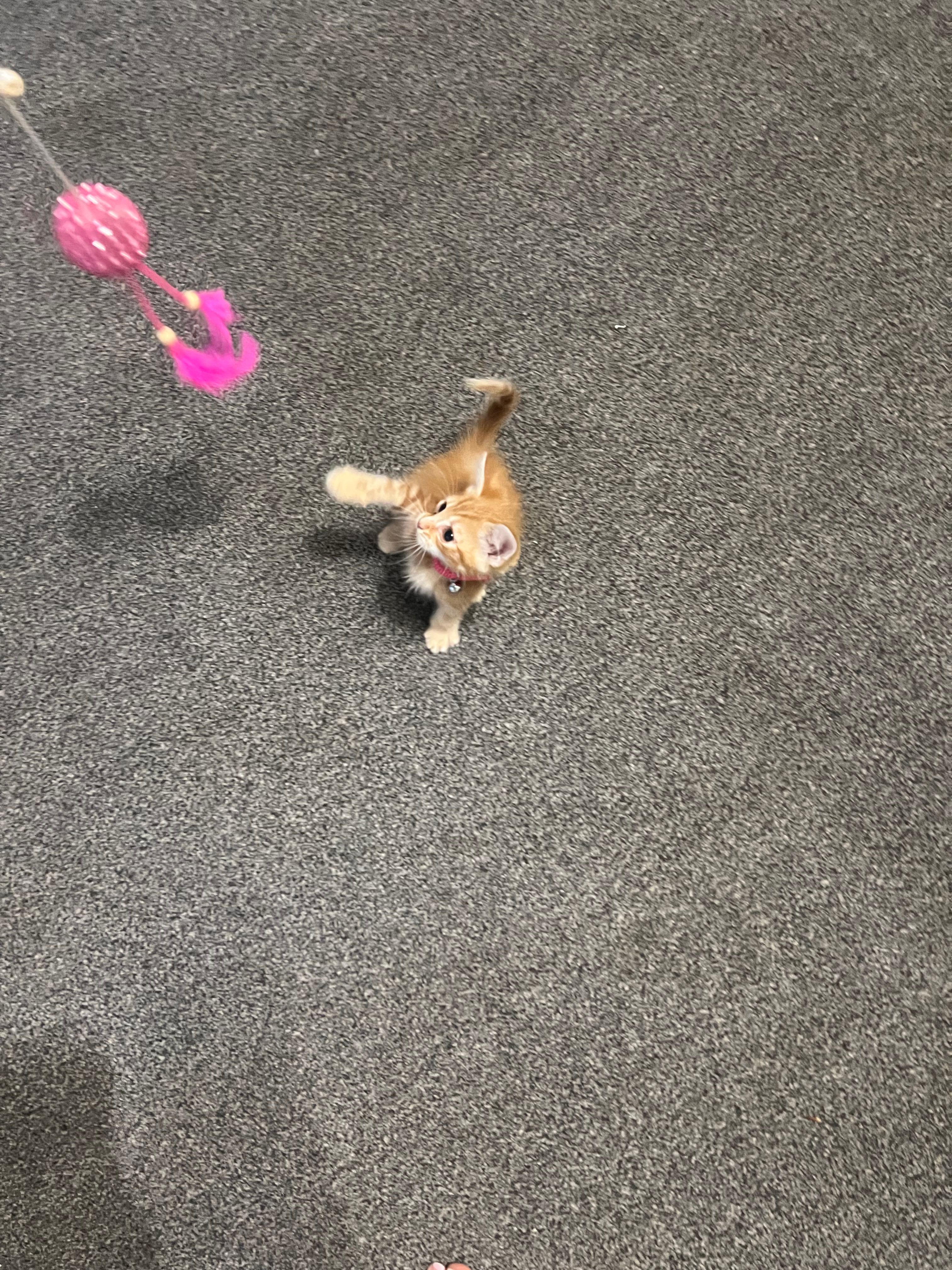 image-5
