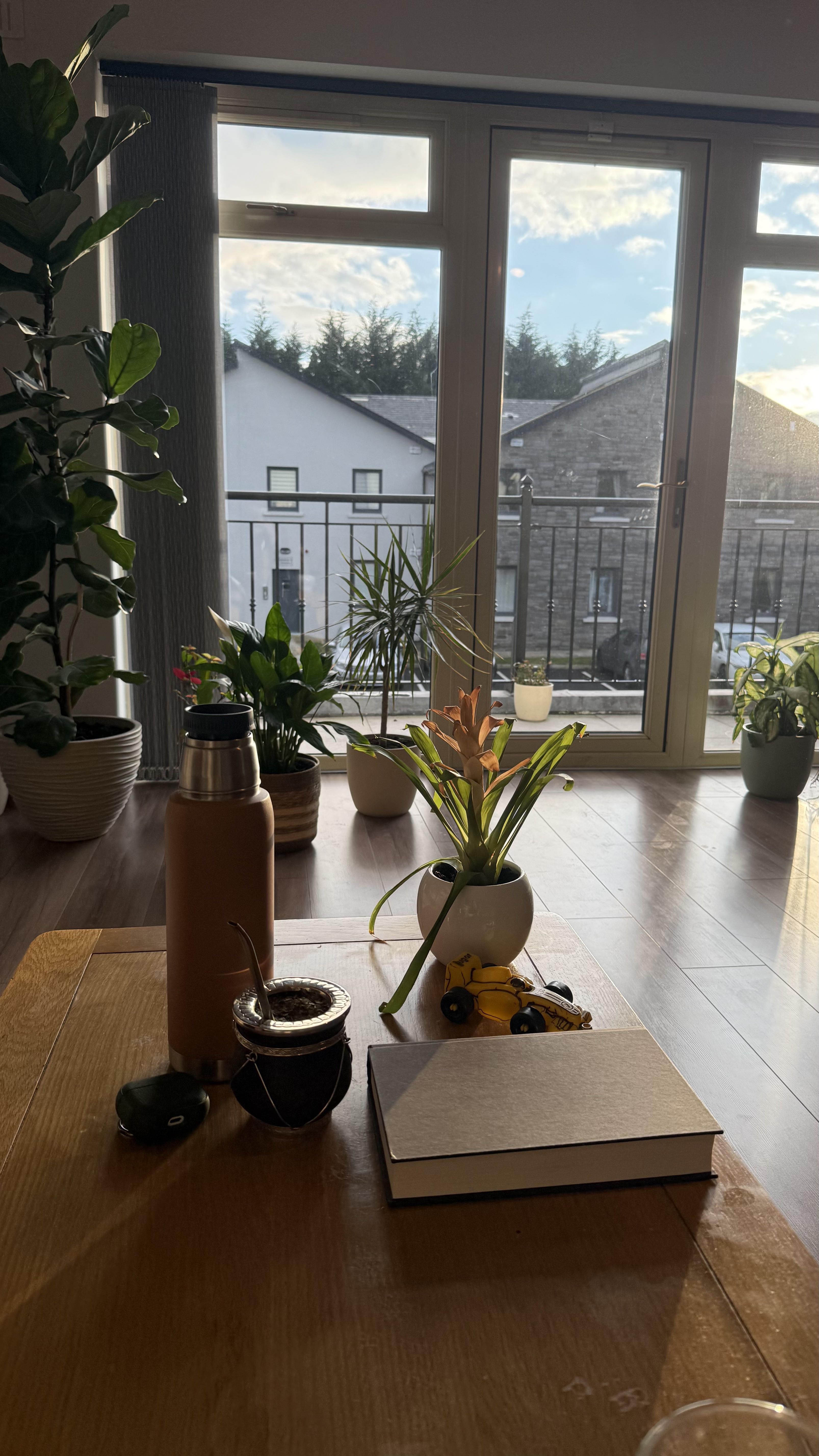 image-19