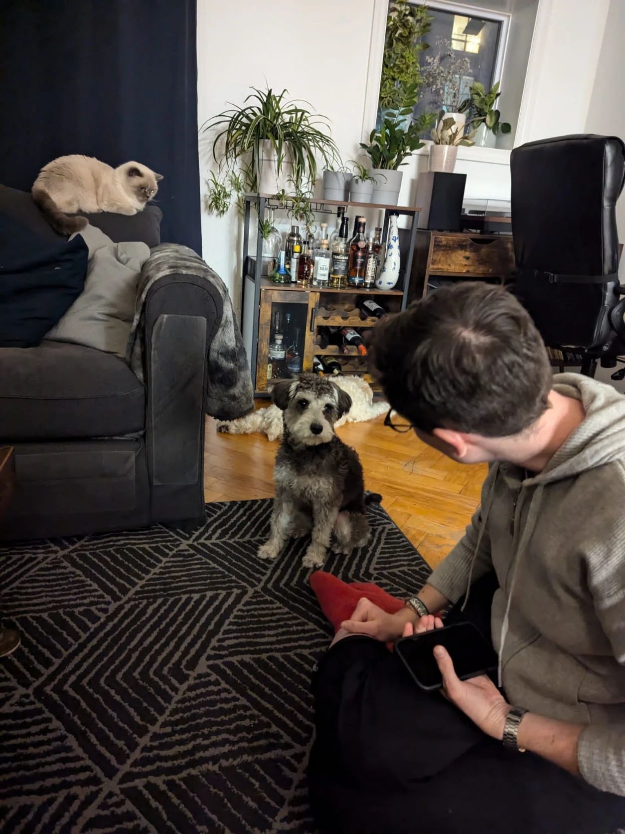 image-11