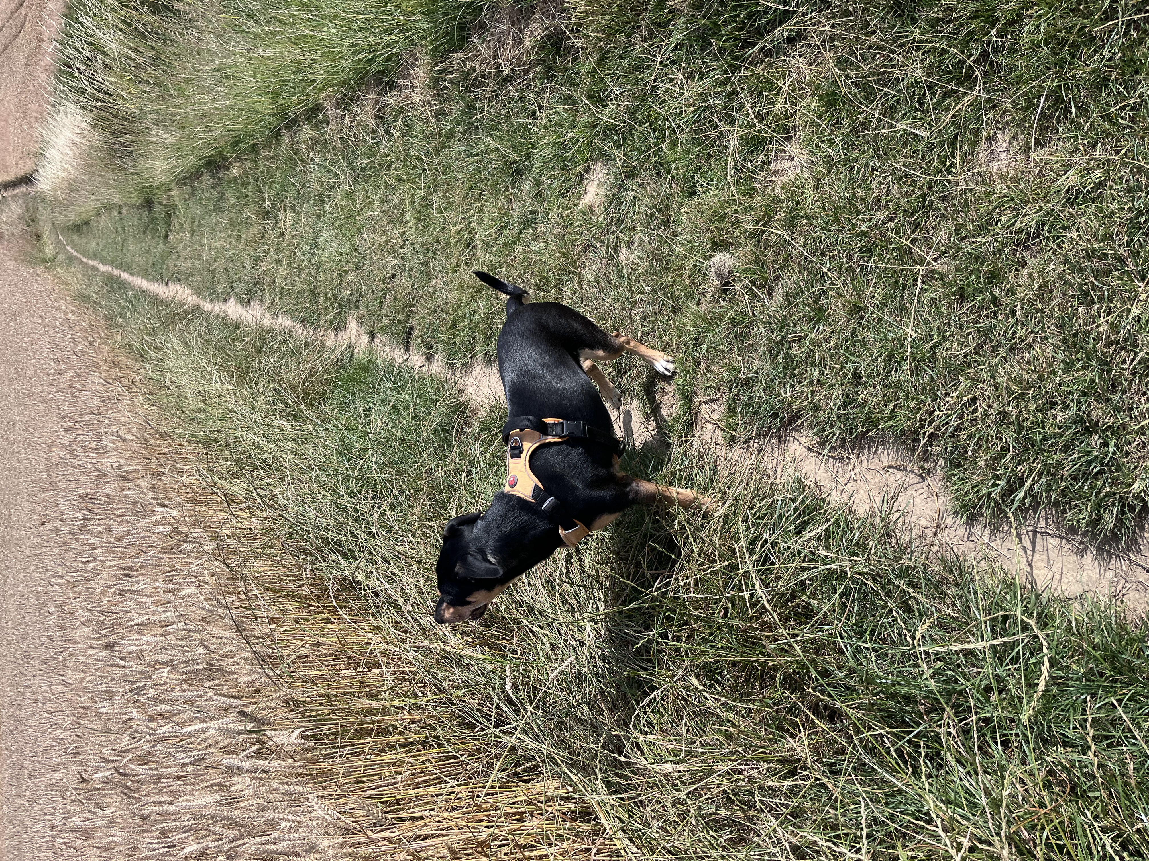 image-6