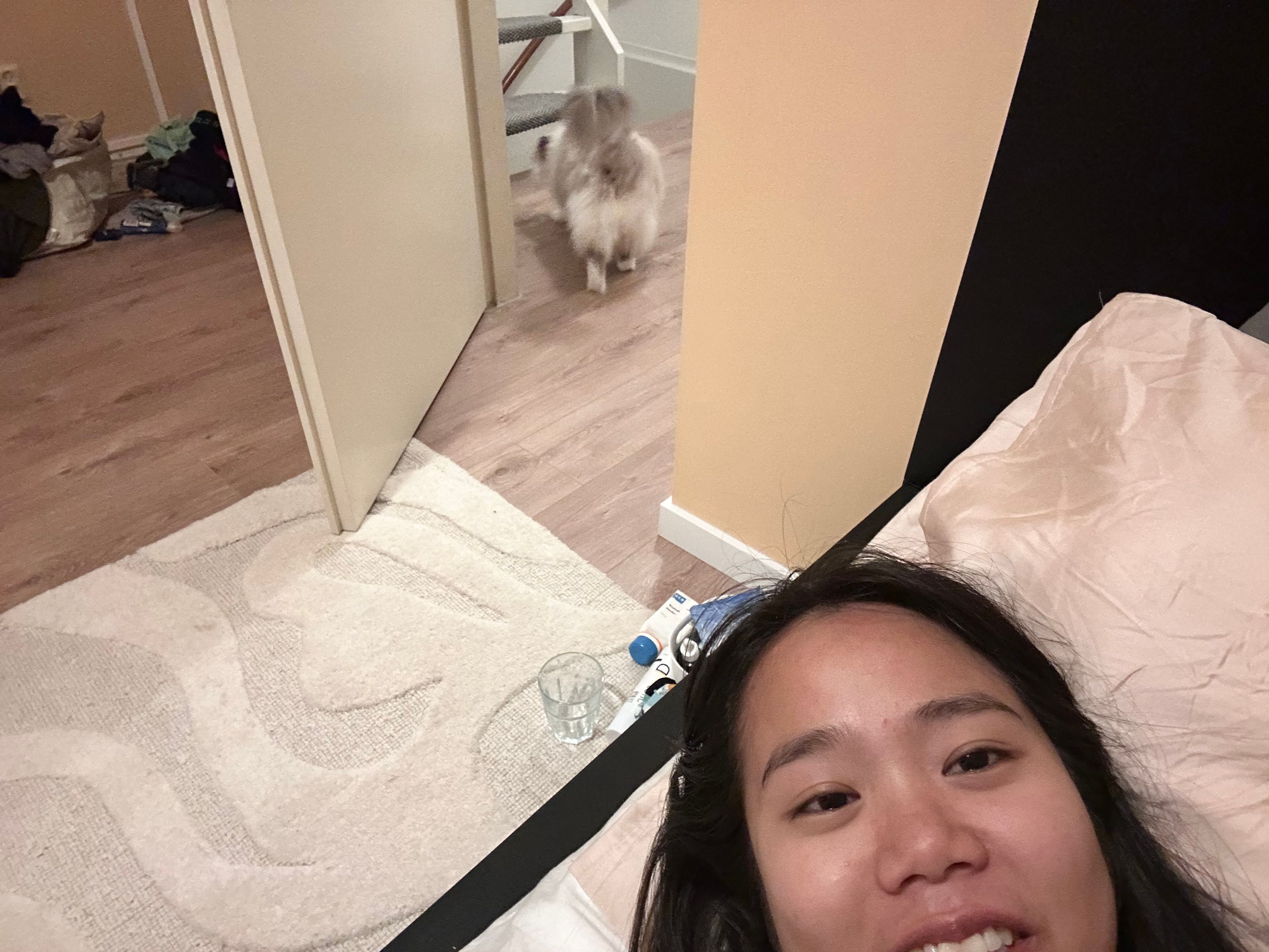 image-6