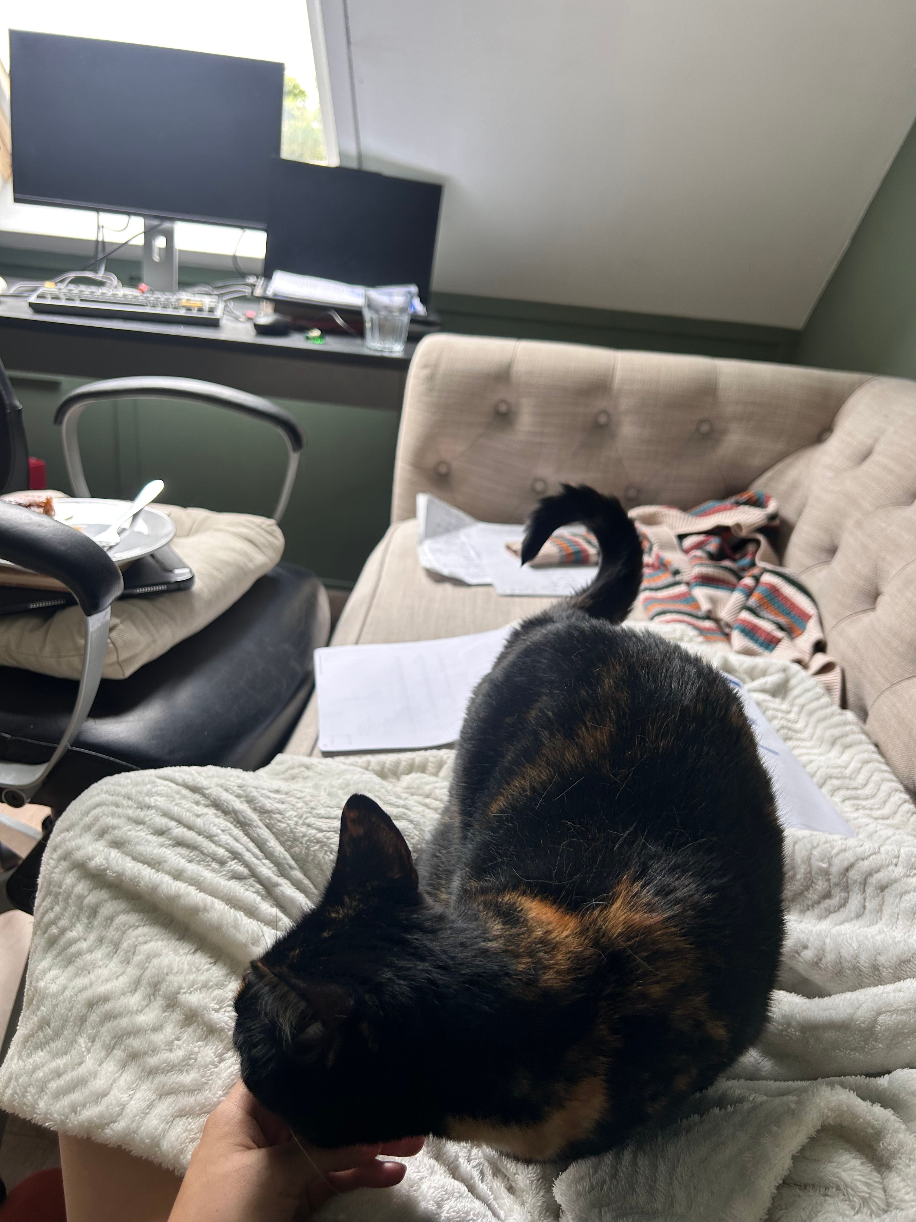 image-13