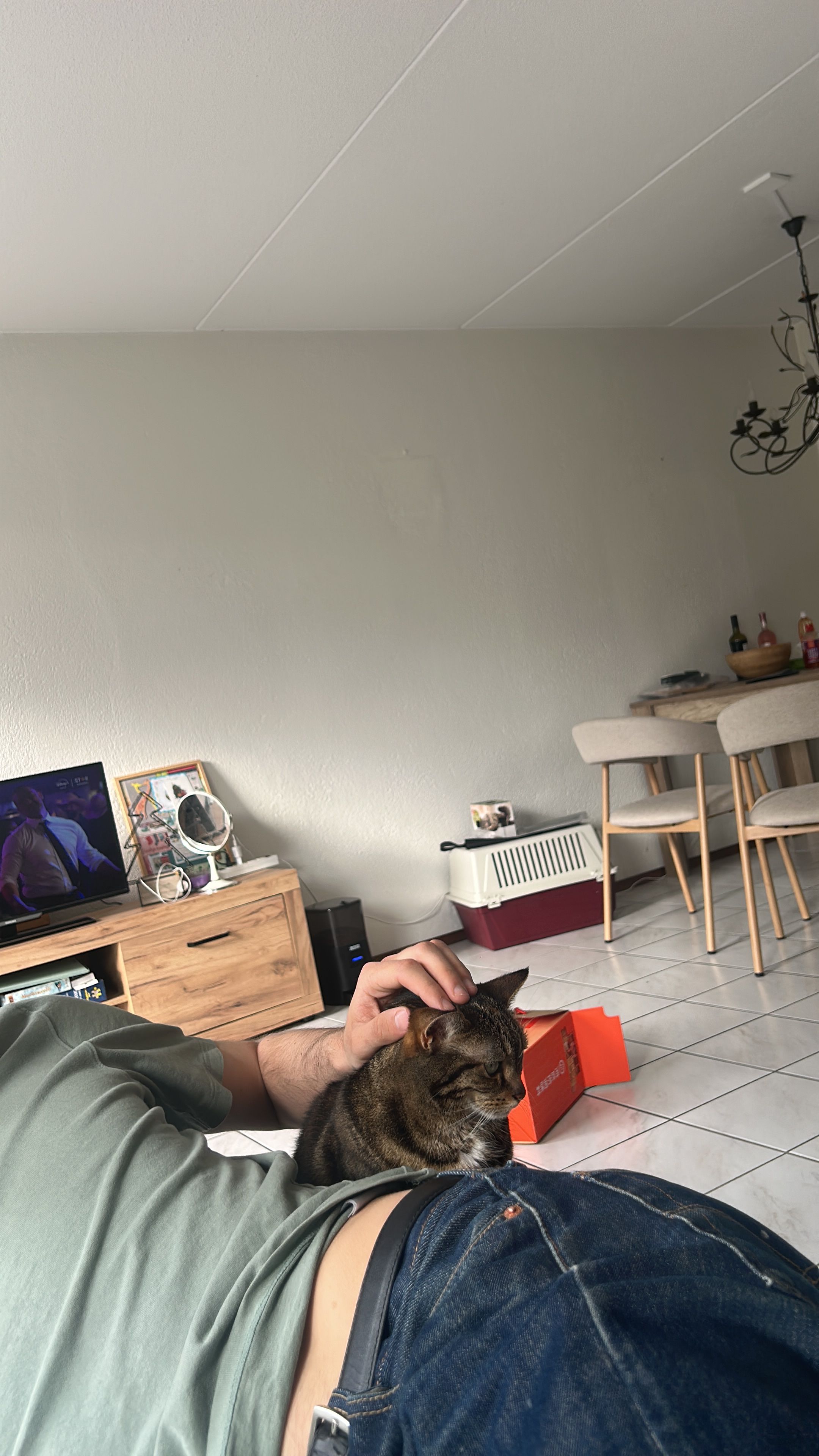 image-7