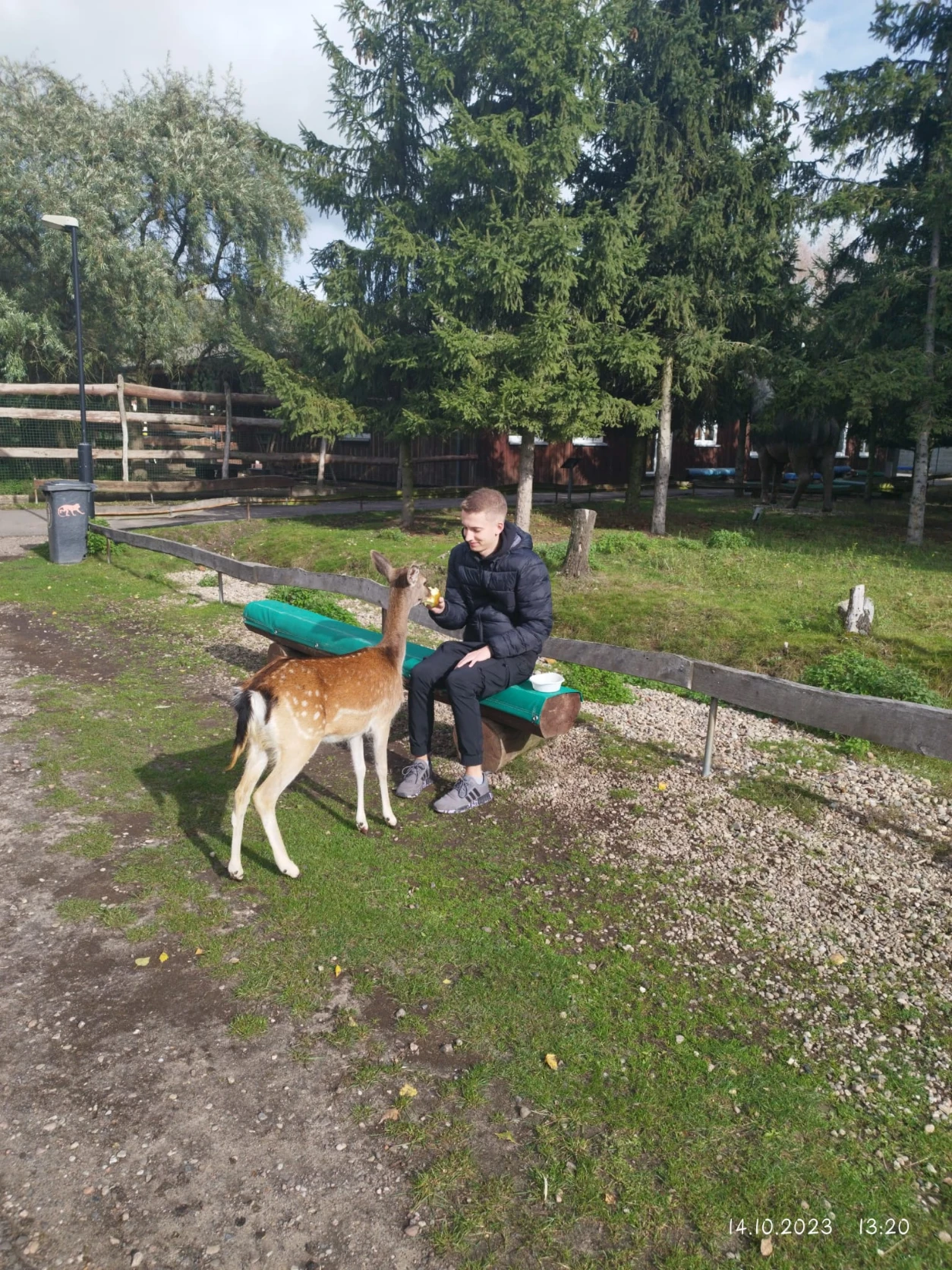 image-6