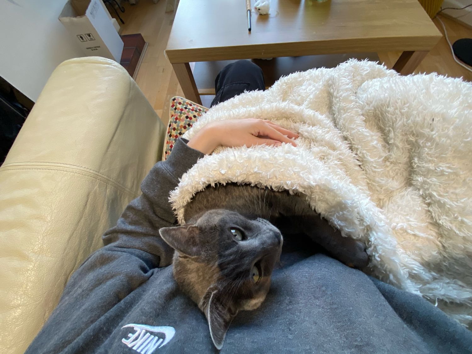 image-6