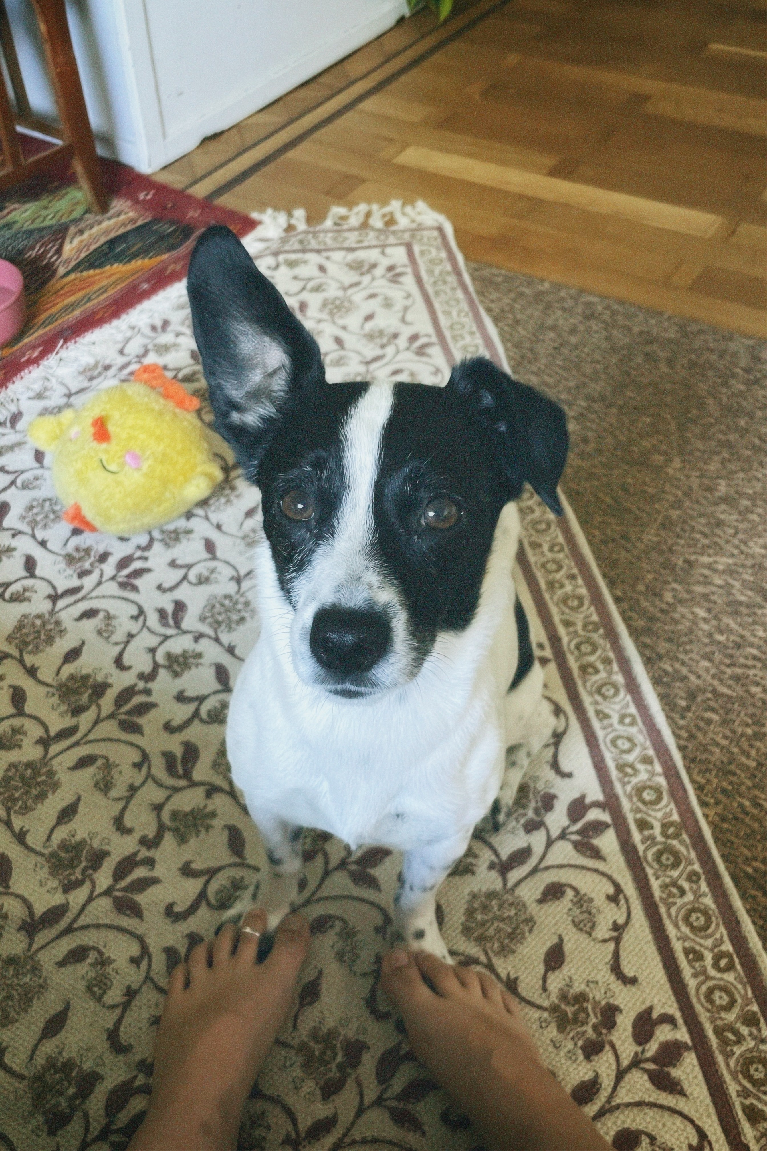 image-15