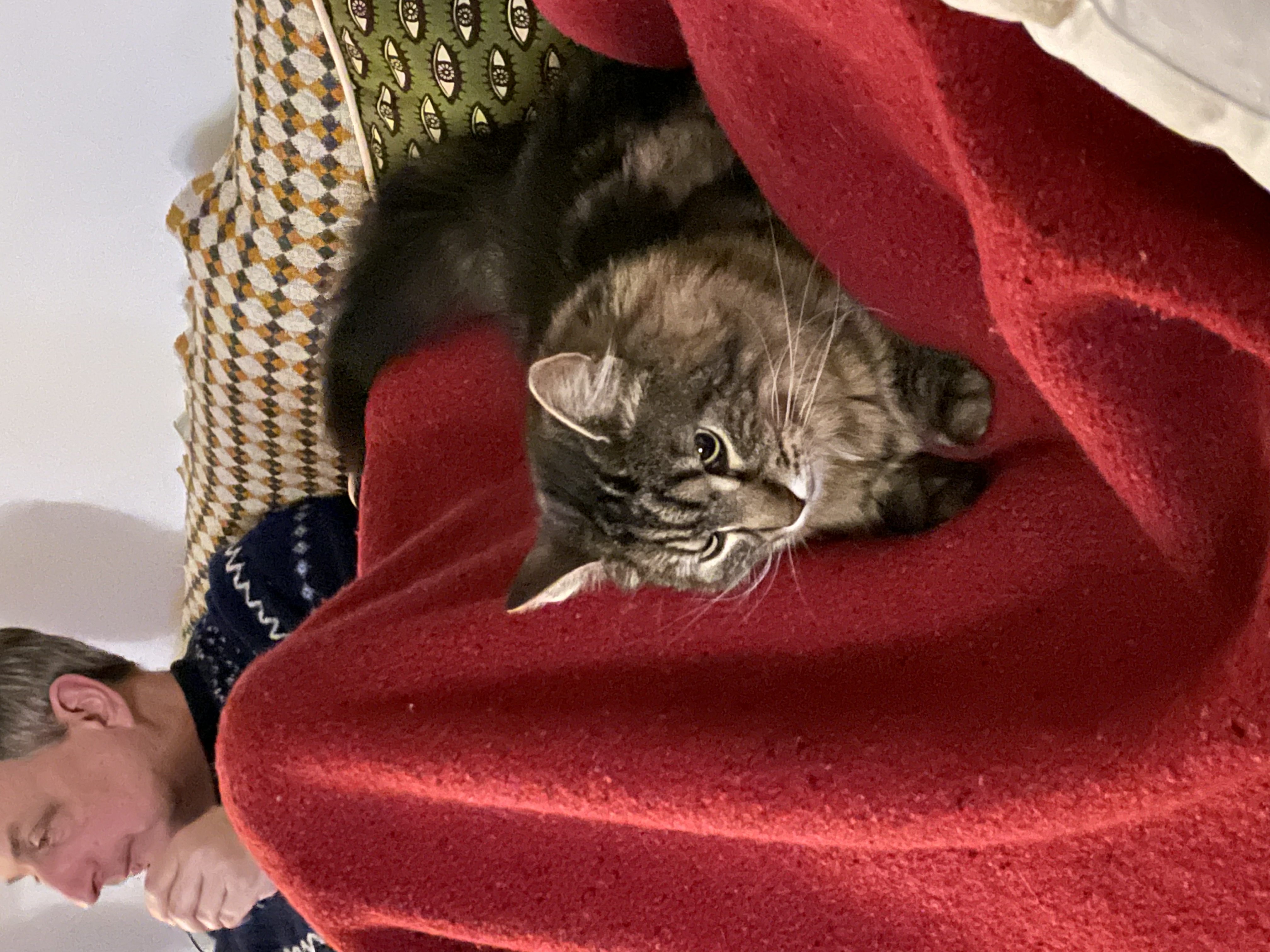 image-6