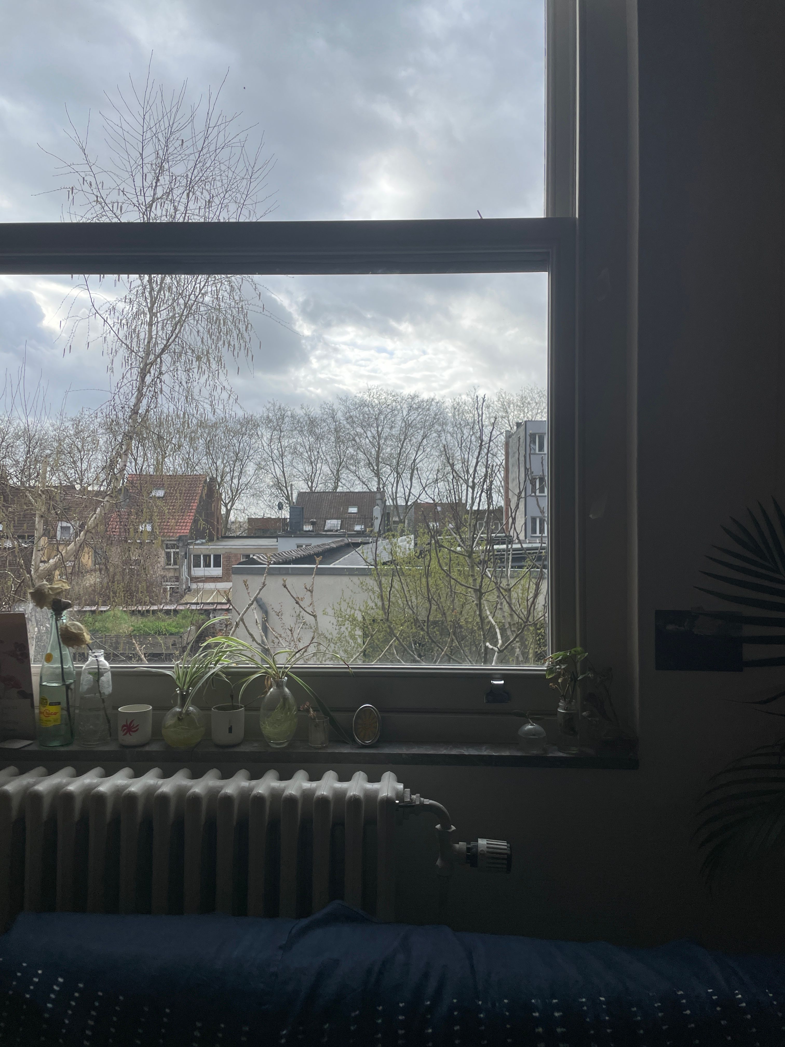 image-20