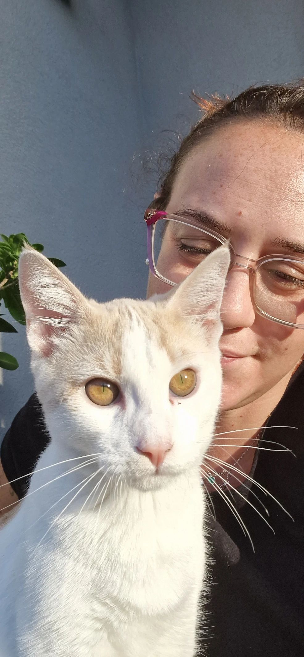 image-0