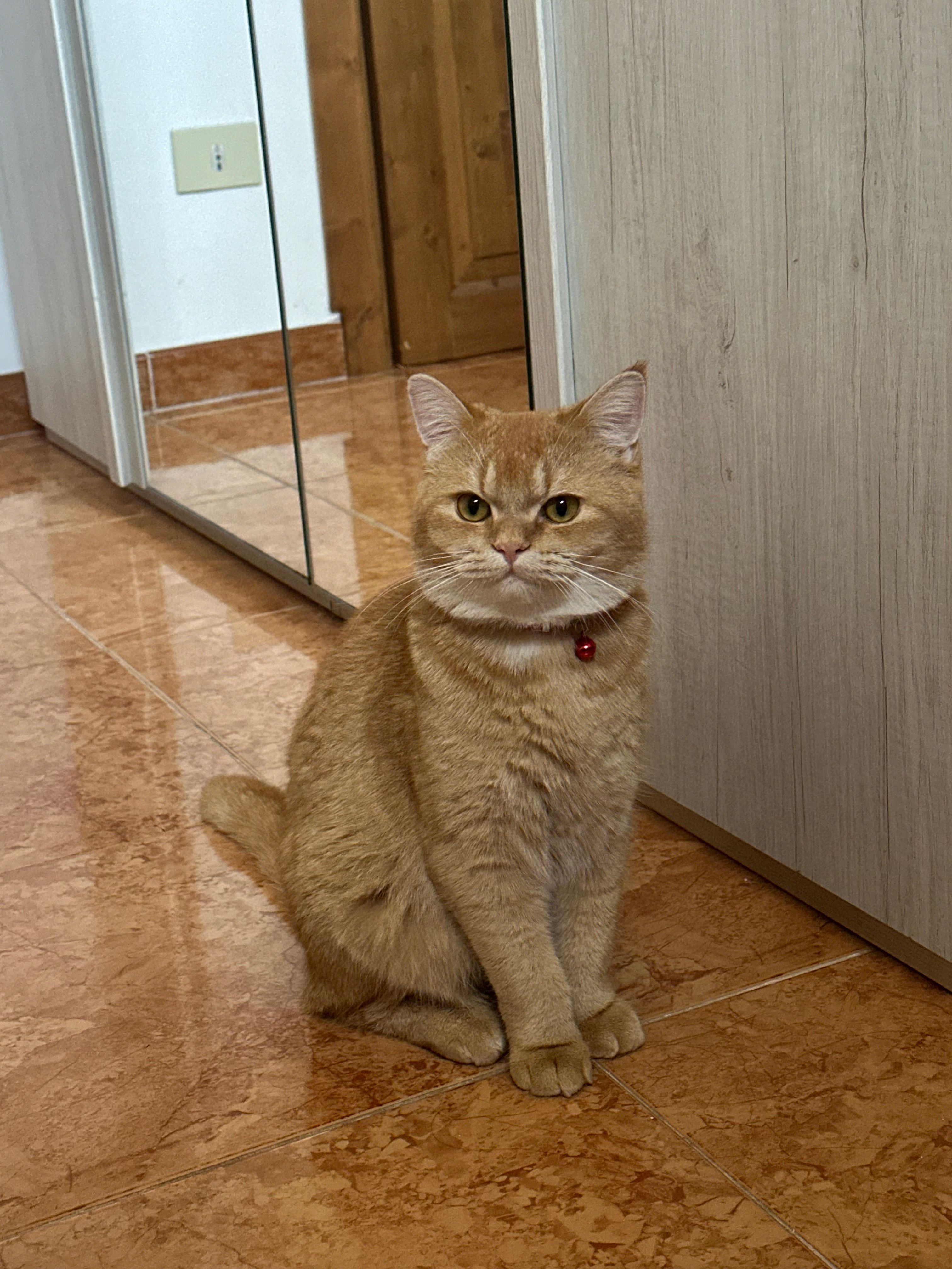 image-5