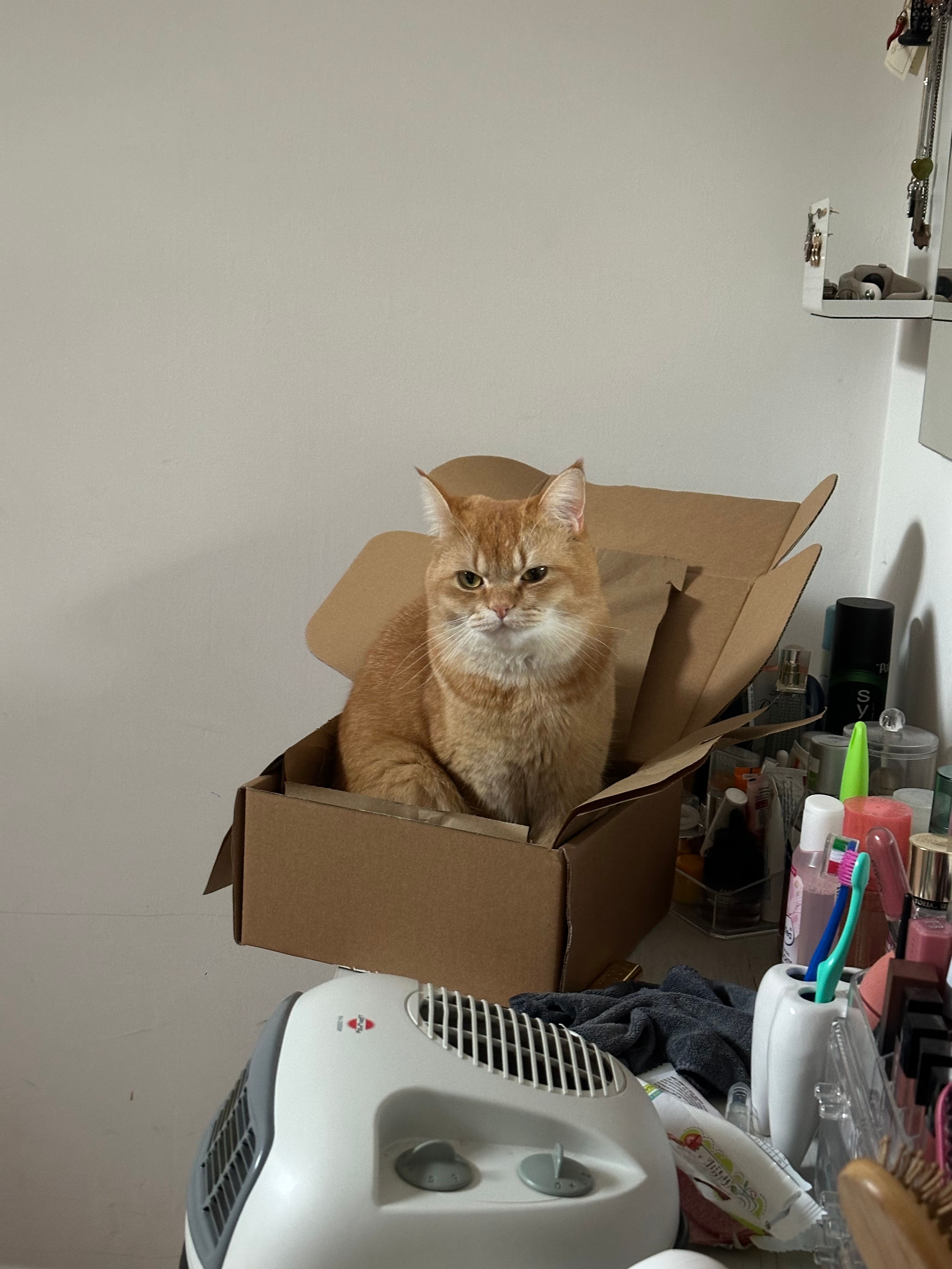 image-13
