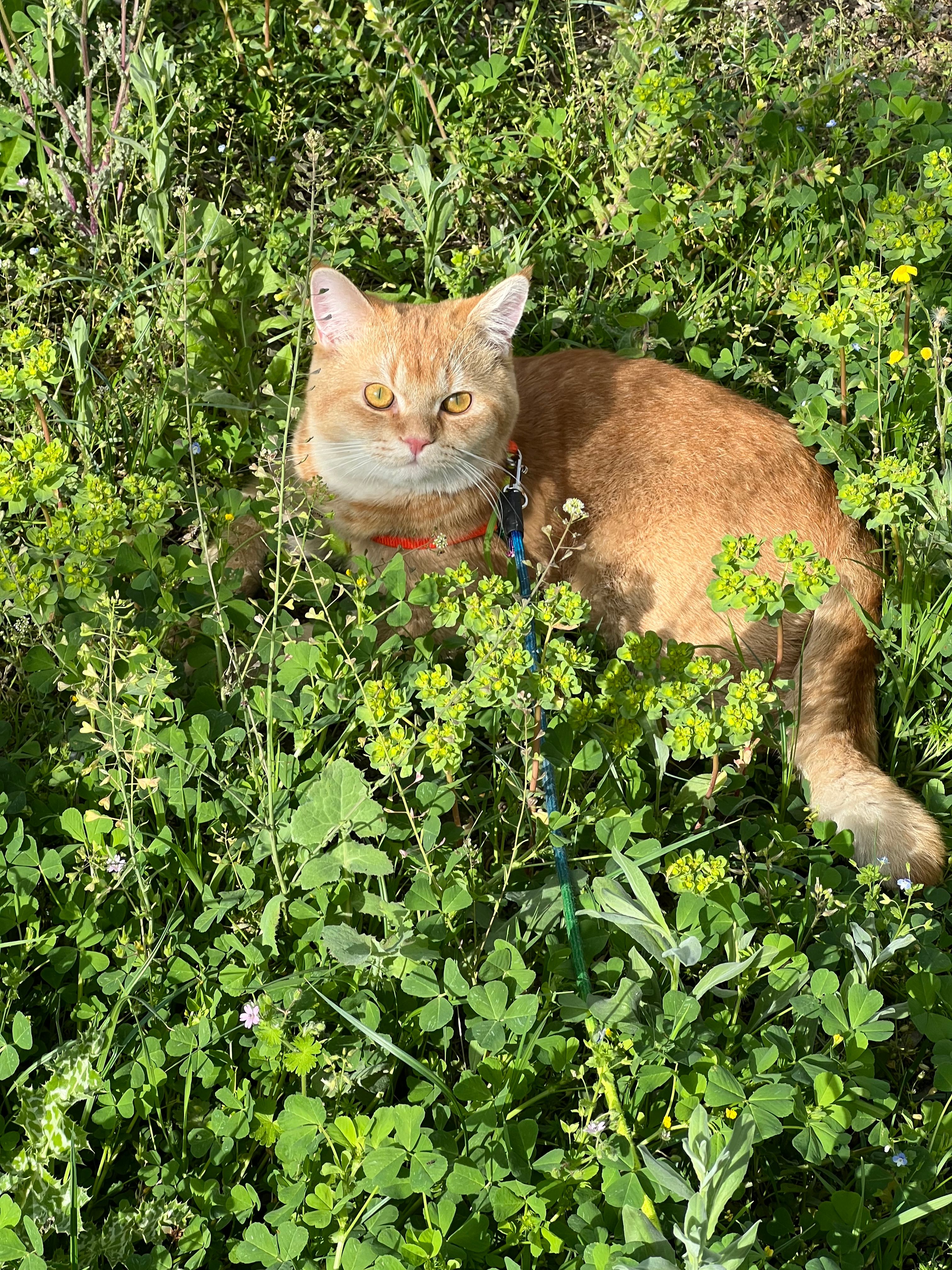 image-15