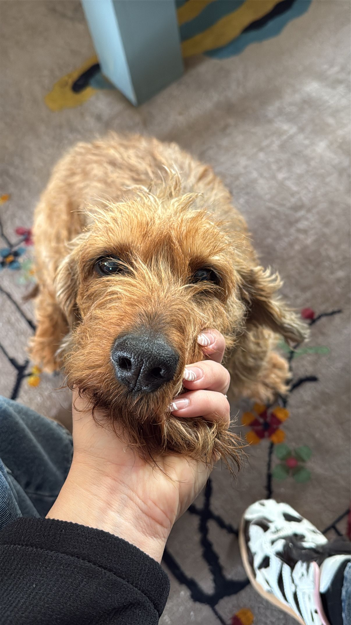 image-6