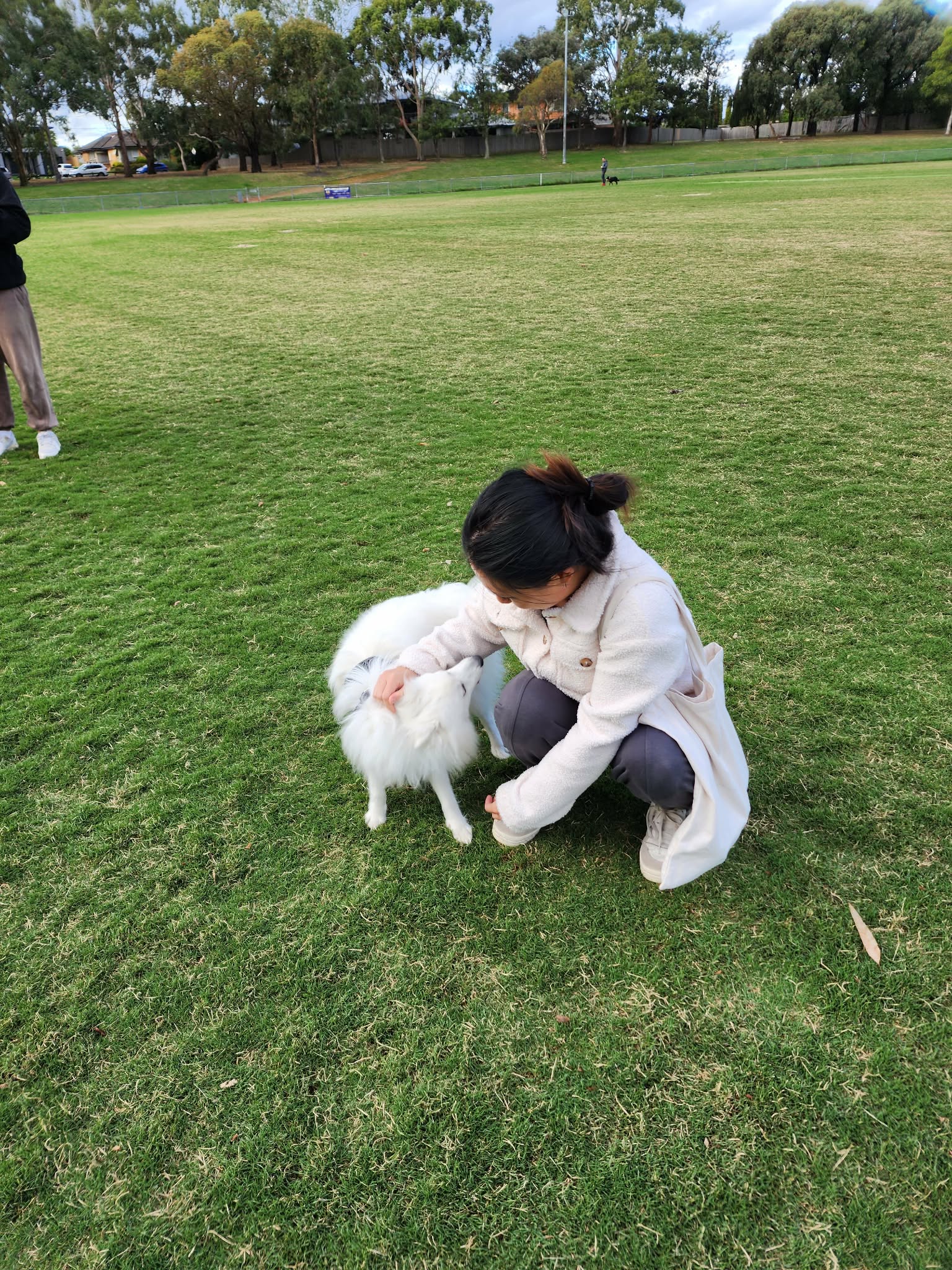 image-4