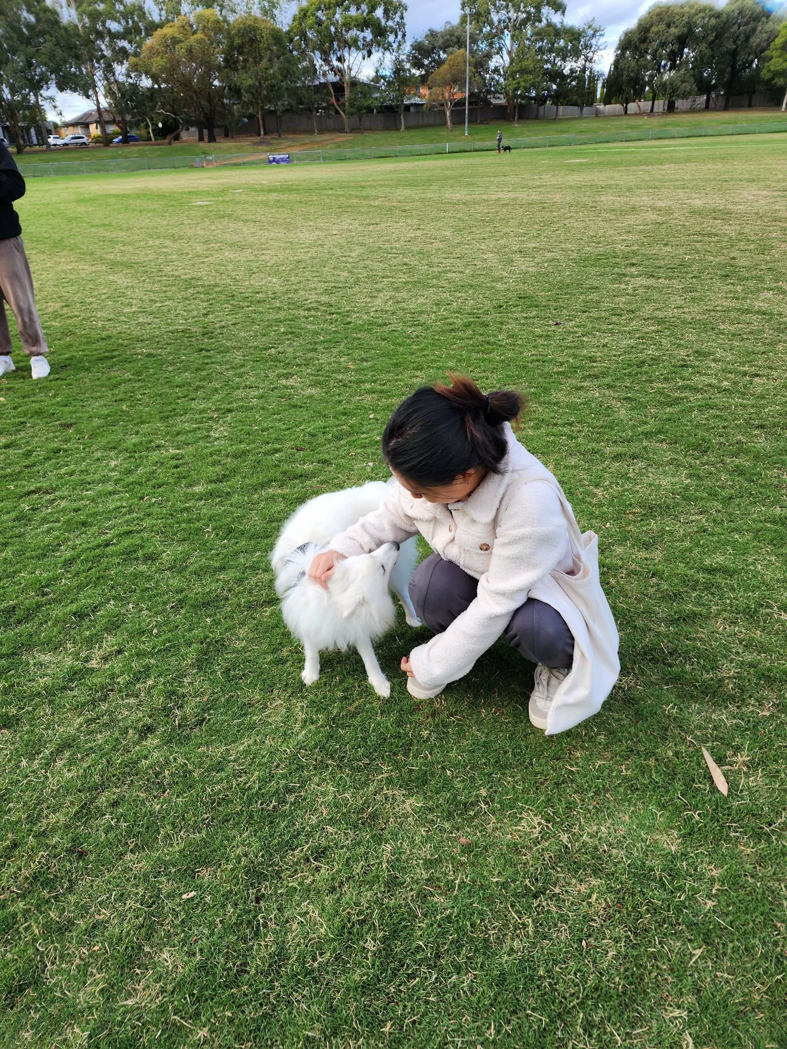 image-4