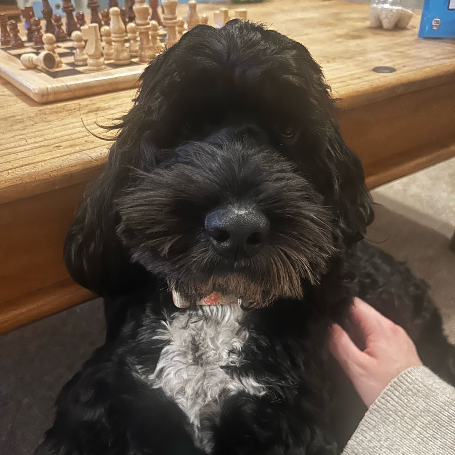 Stanley