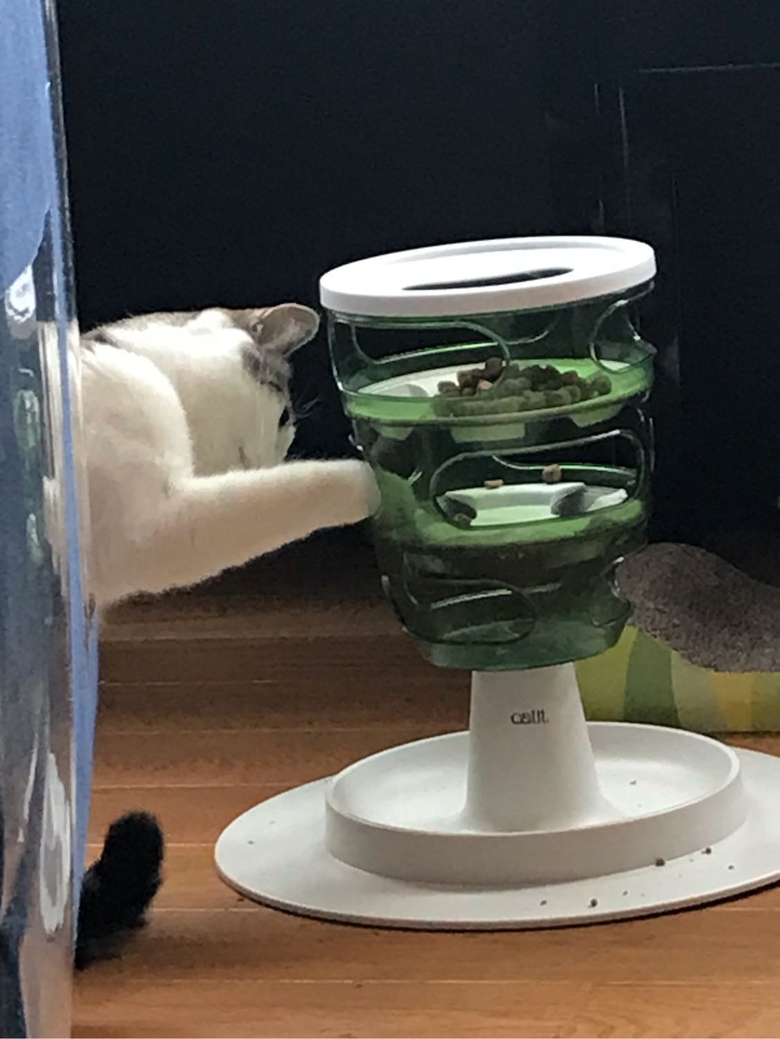 image-7