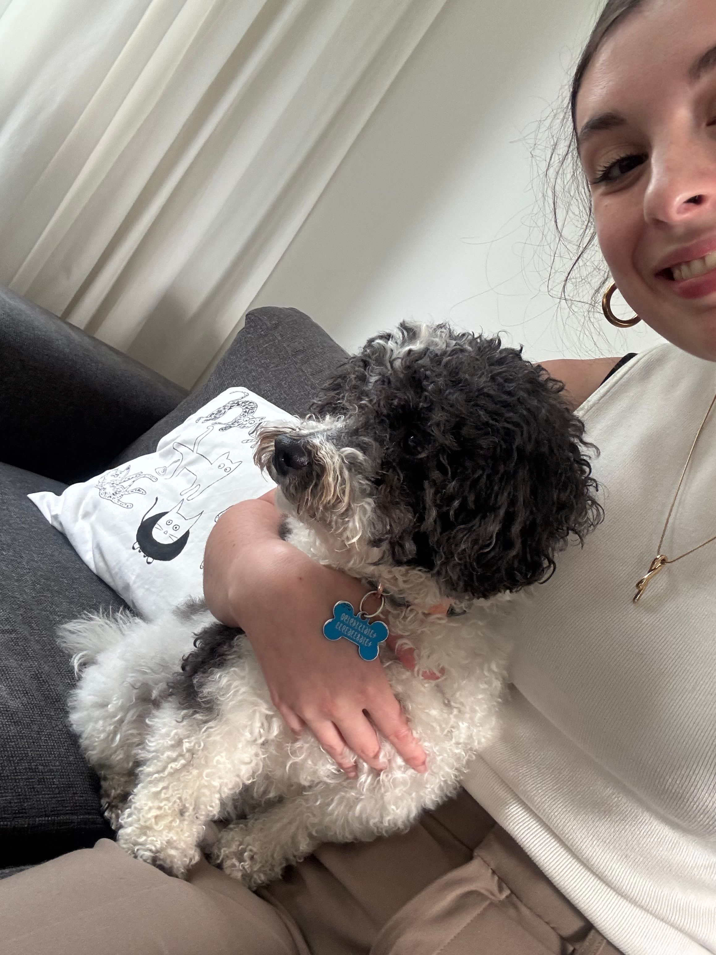 image-2