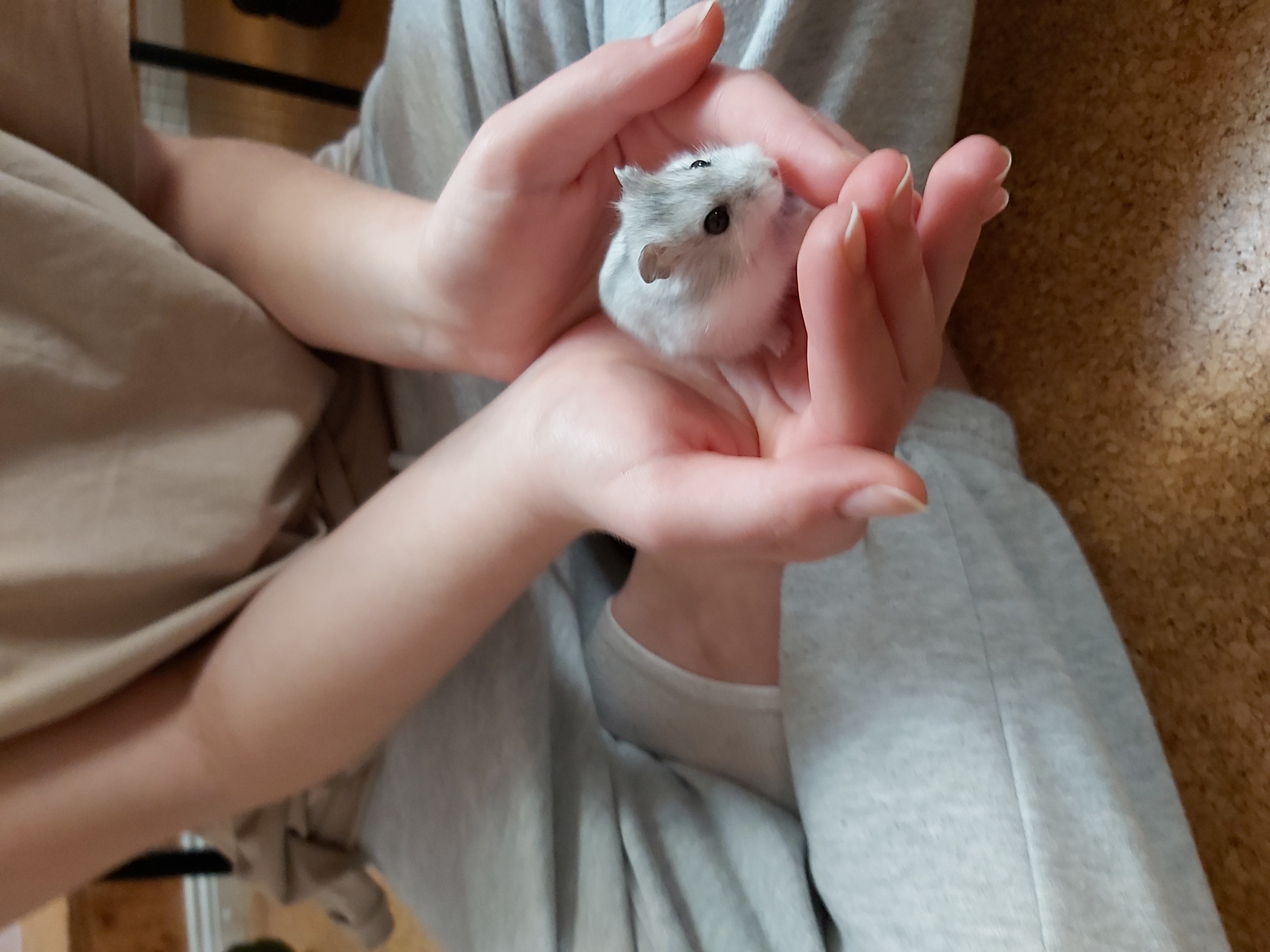 image-5