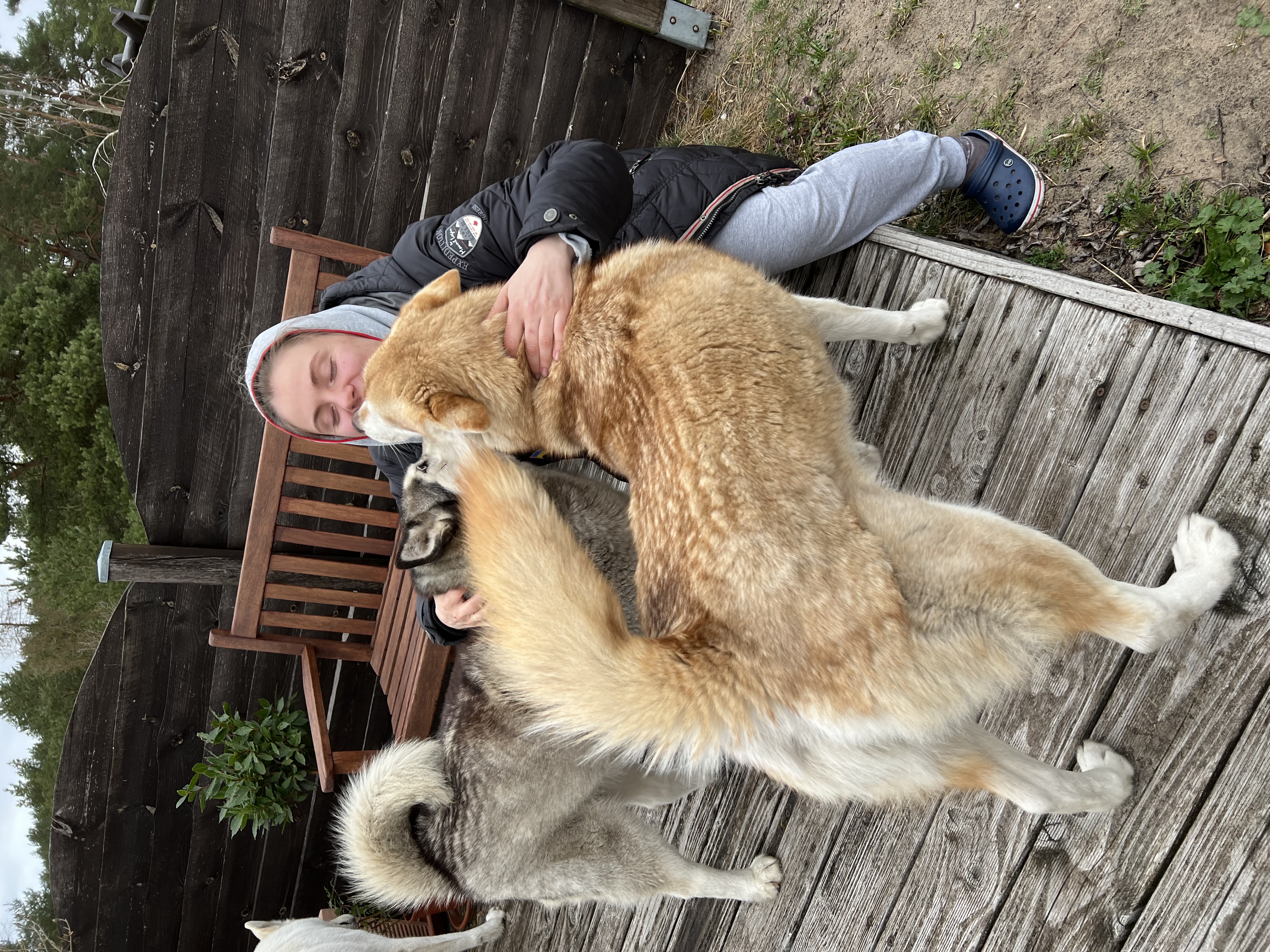 image-10