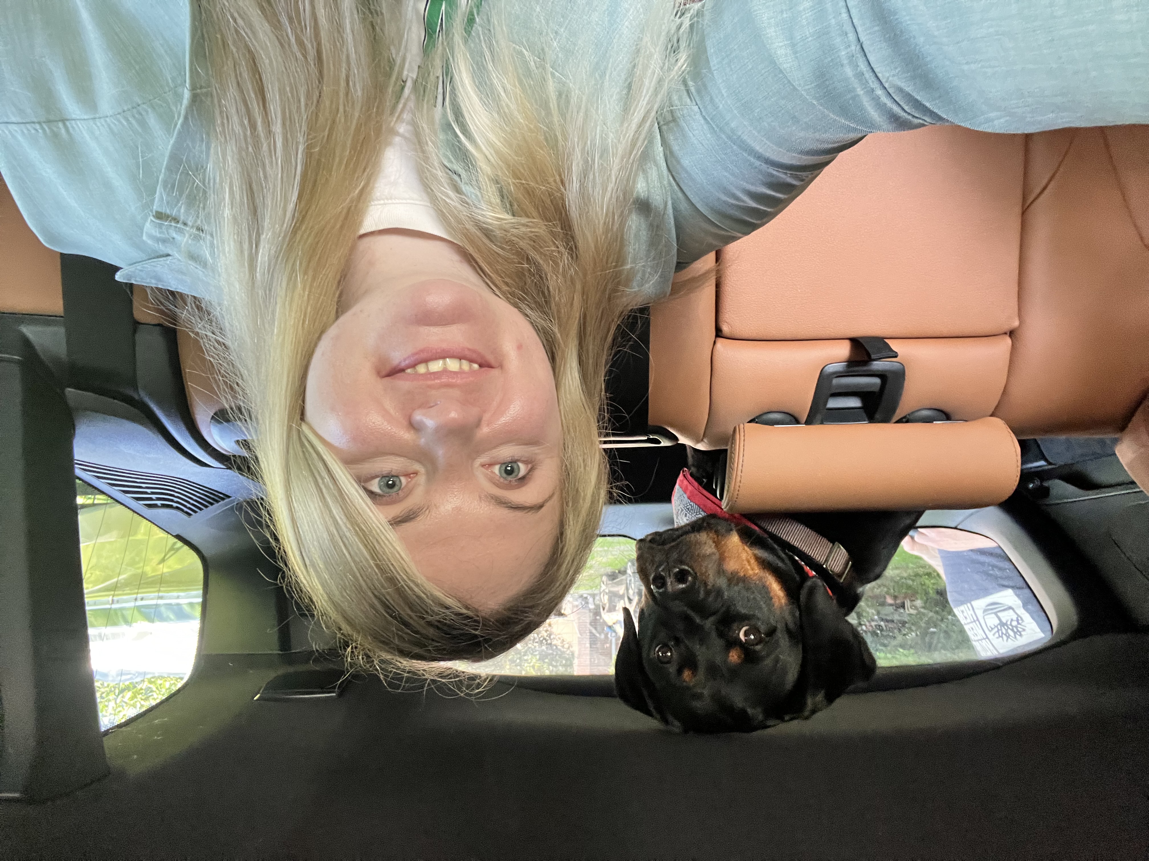 image-3