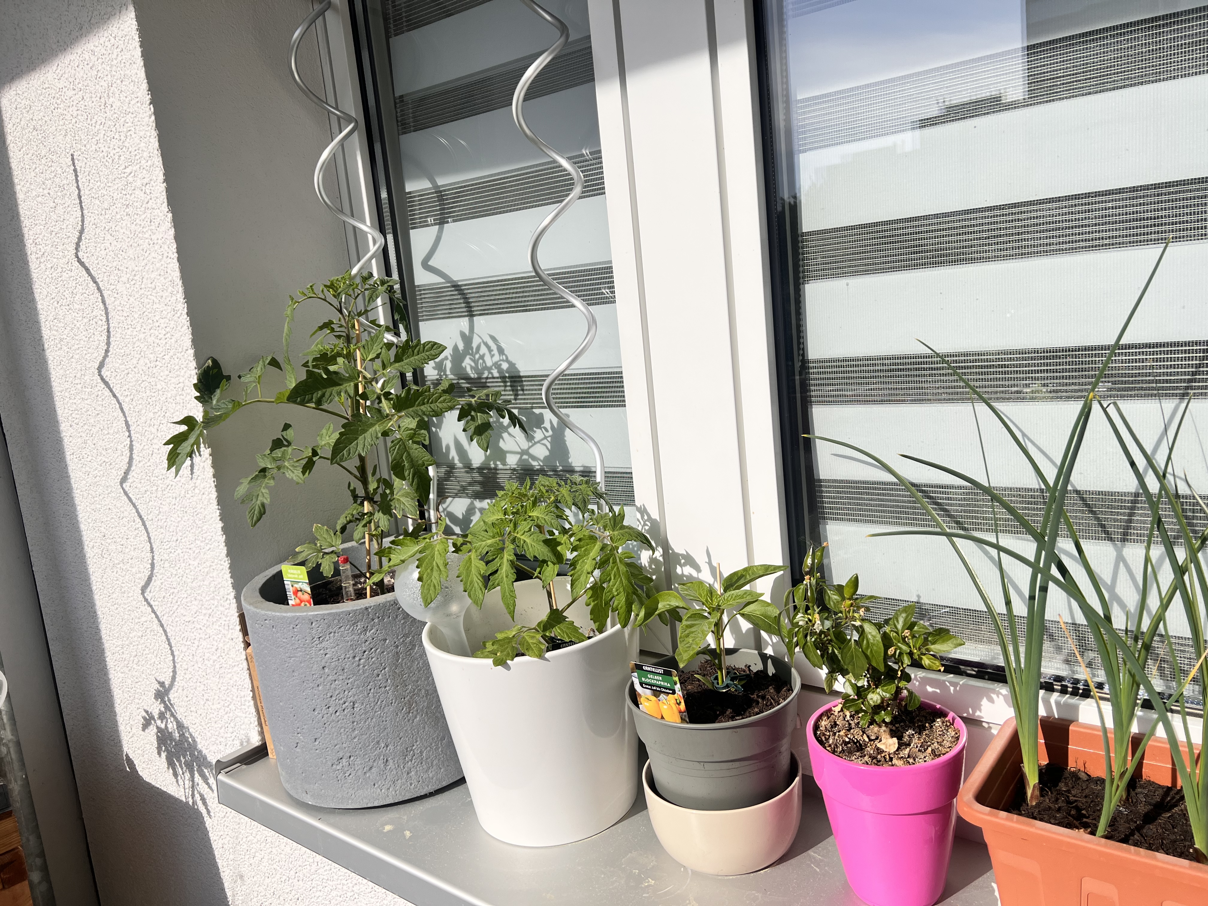 image-16