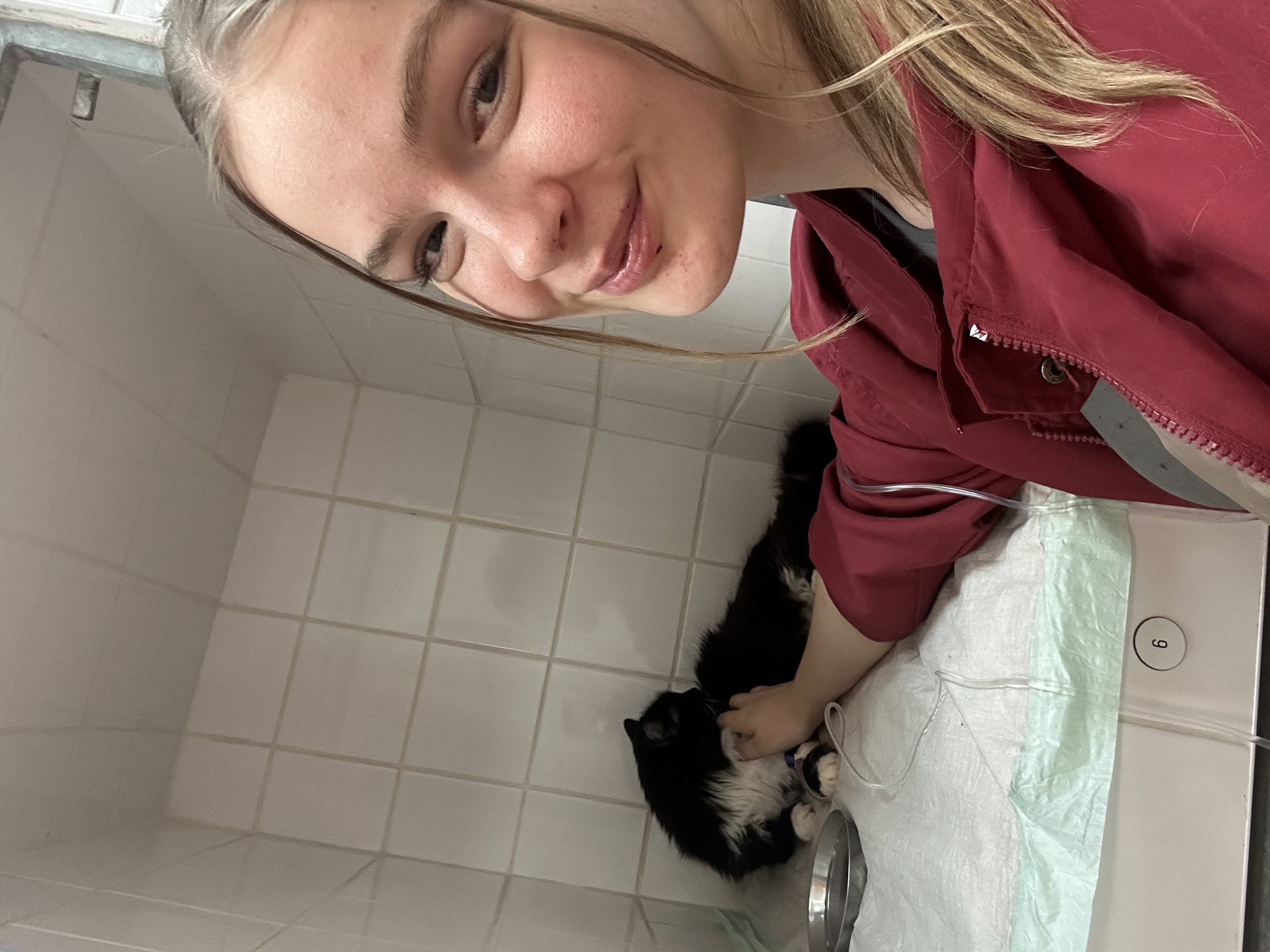 image-15