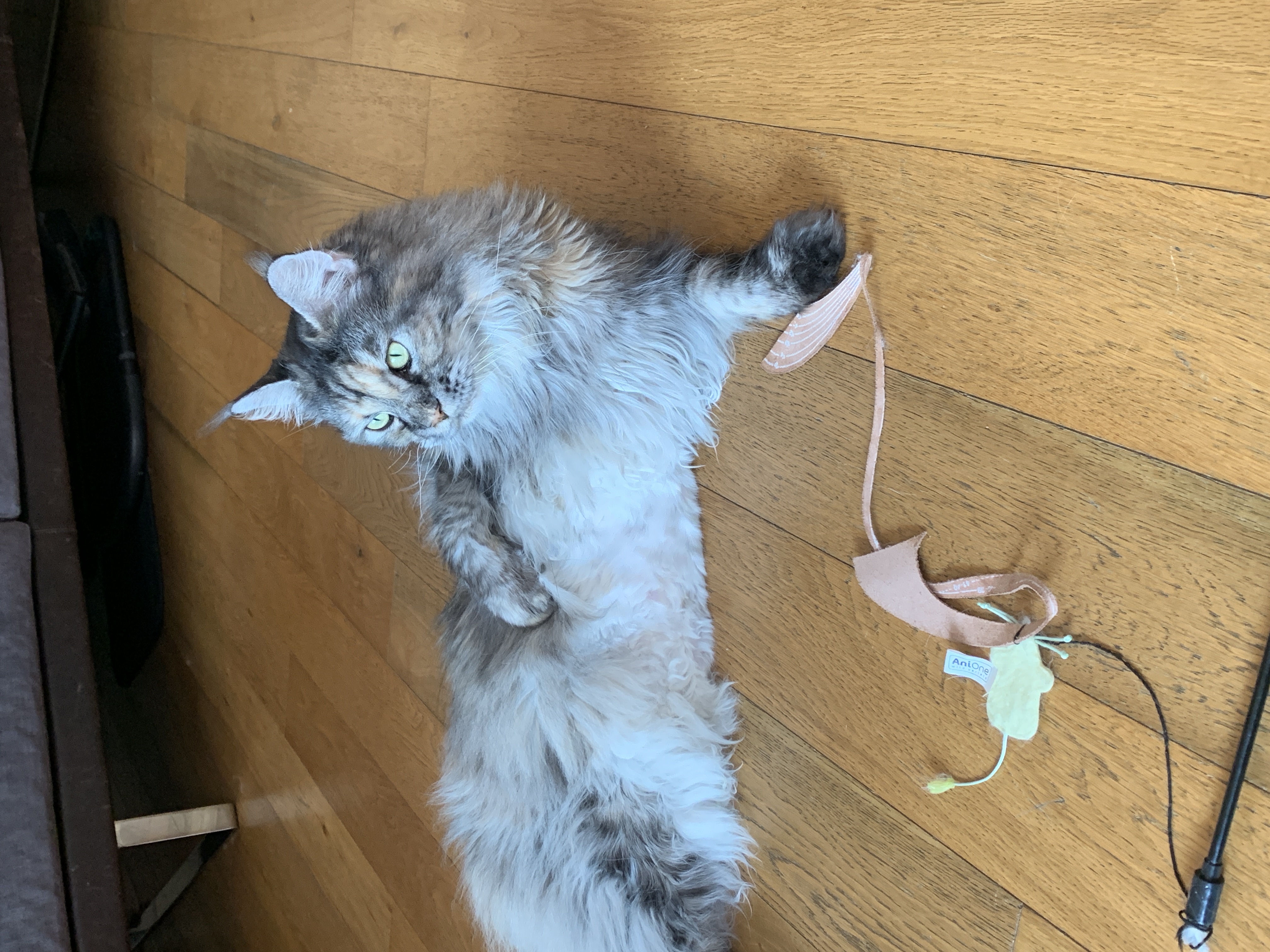 image-7