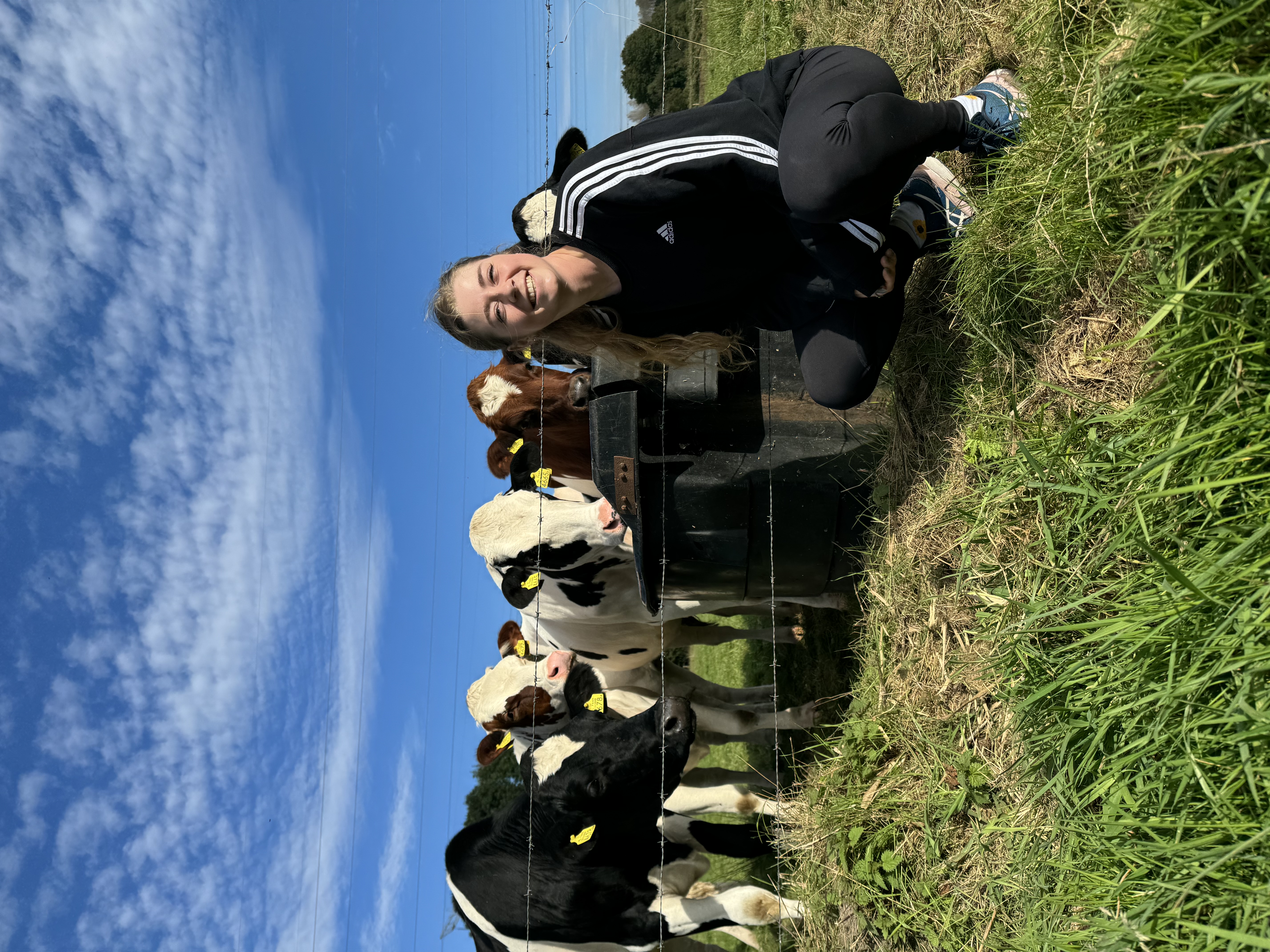 image-6