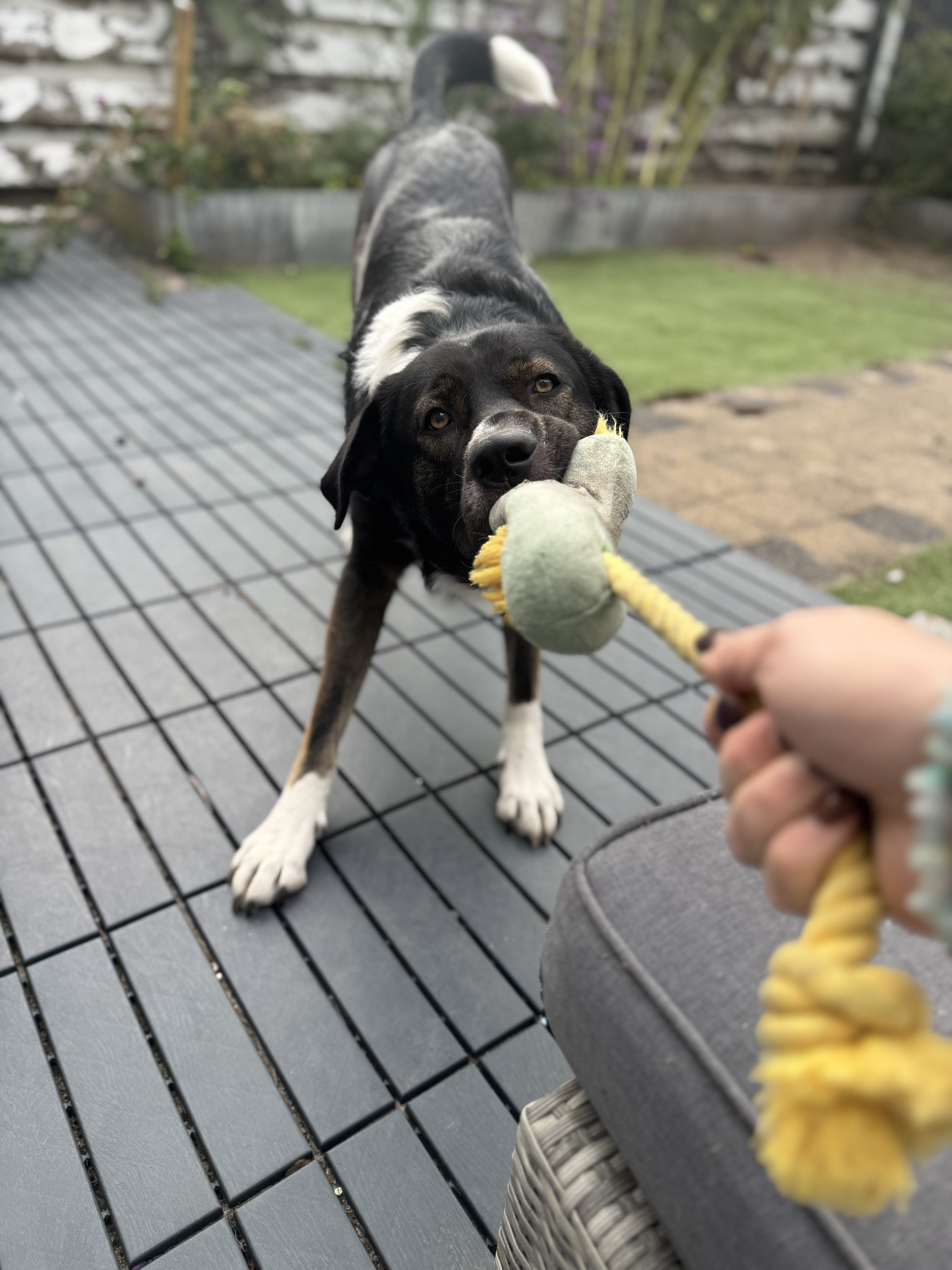 image-3