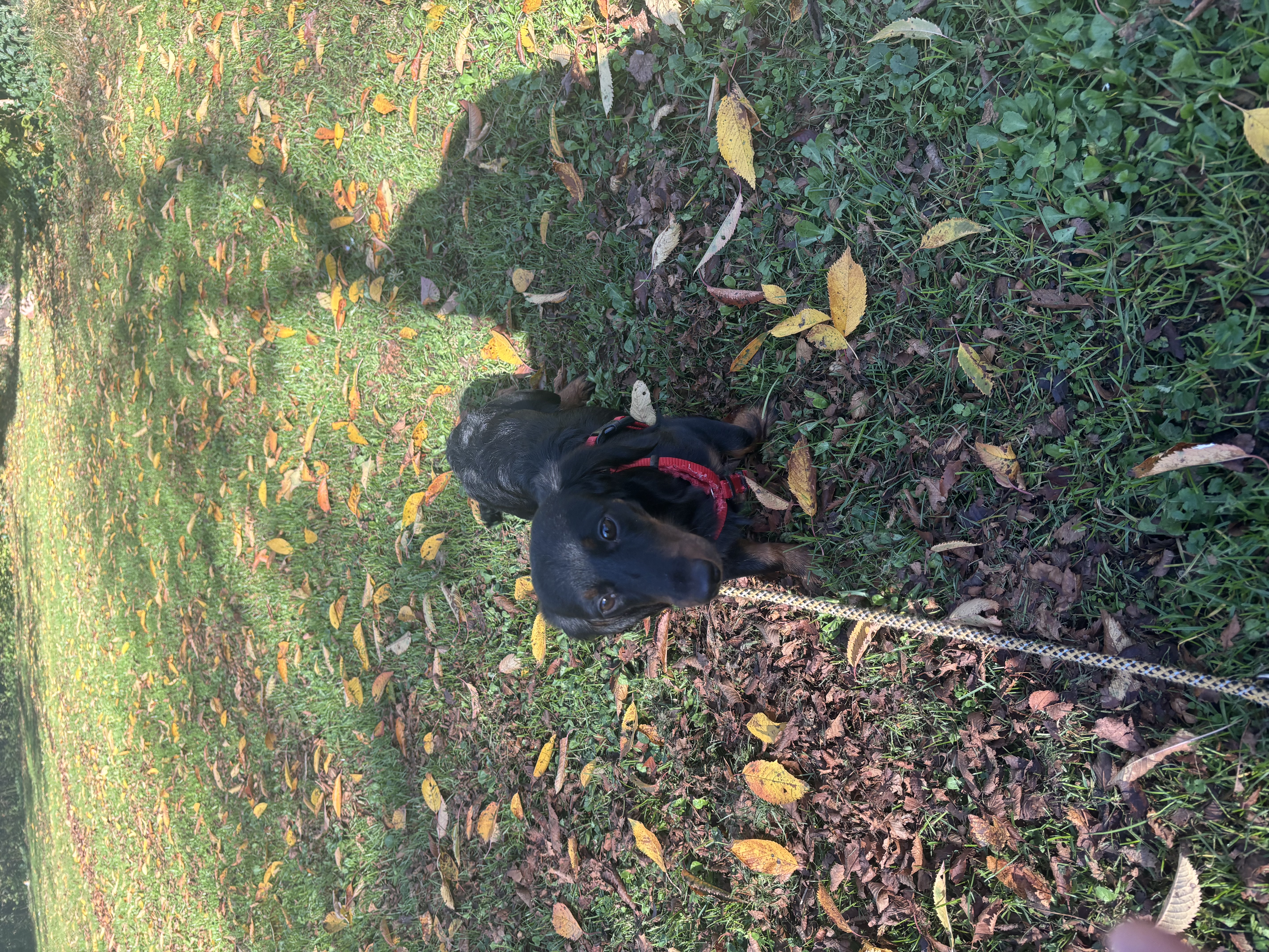 image-18