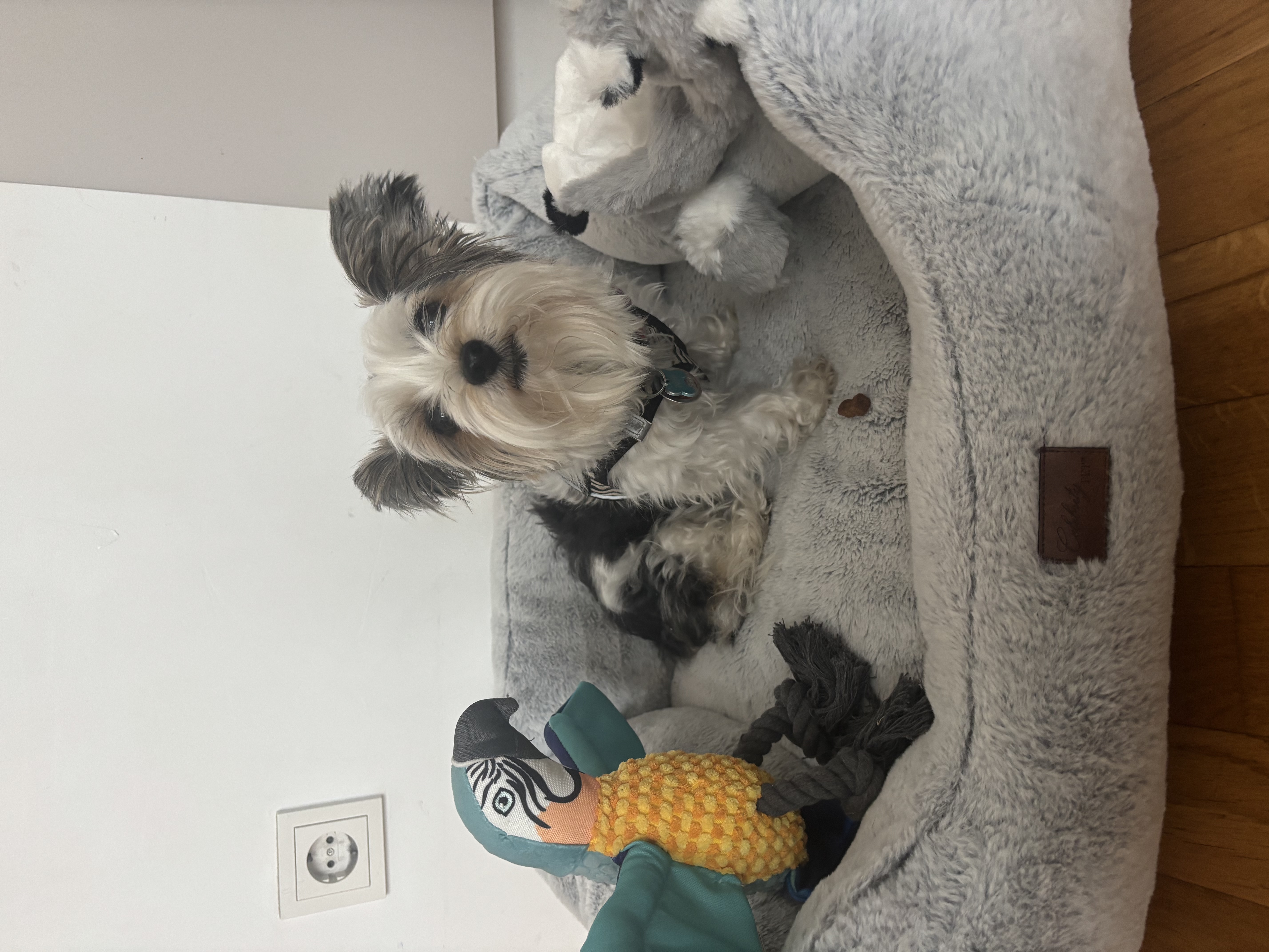 image-13