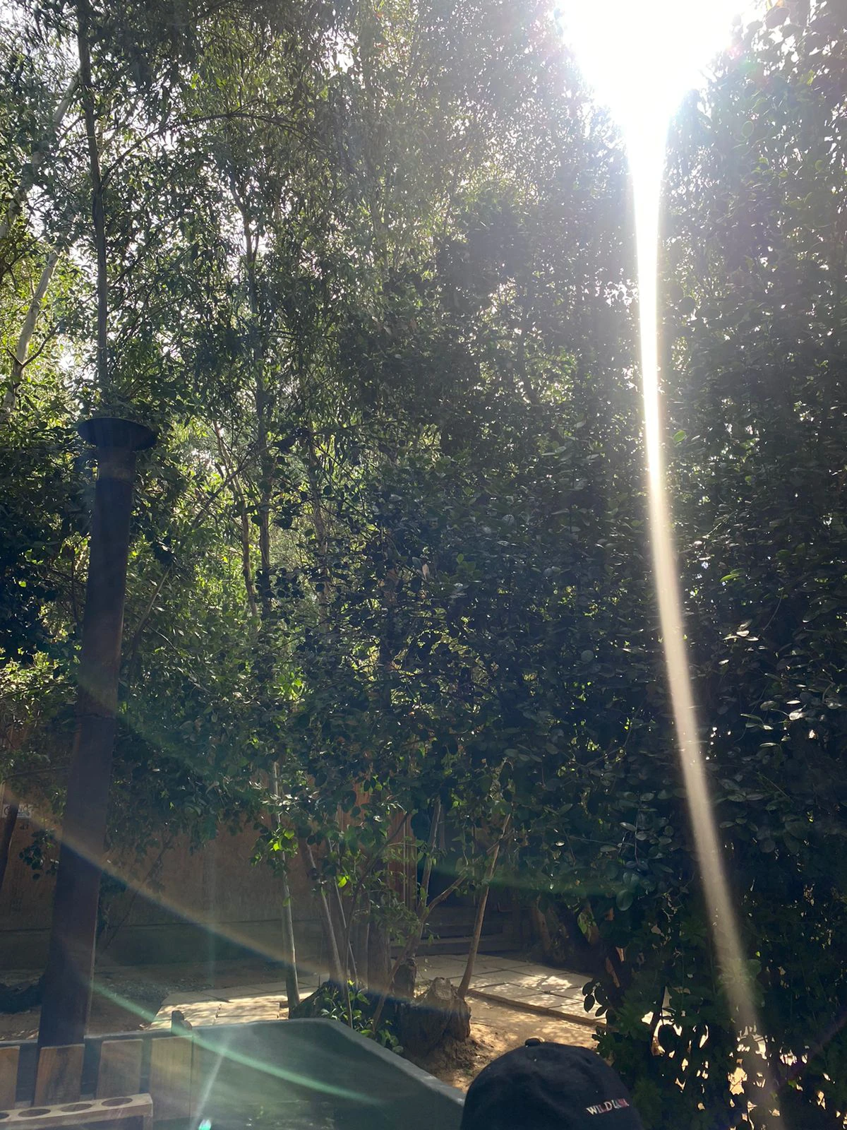 image-5