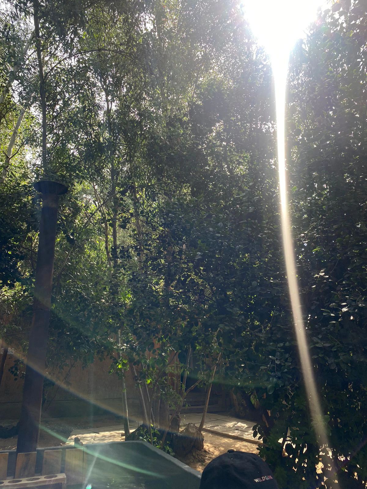 image-5