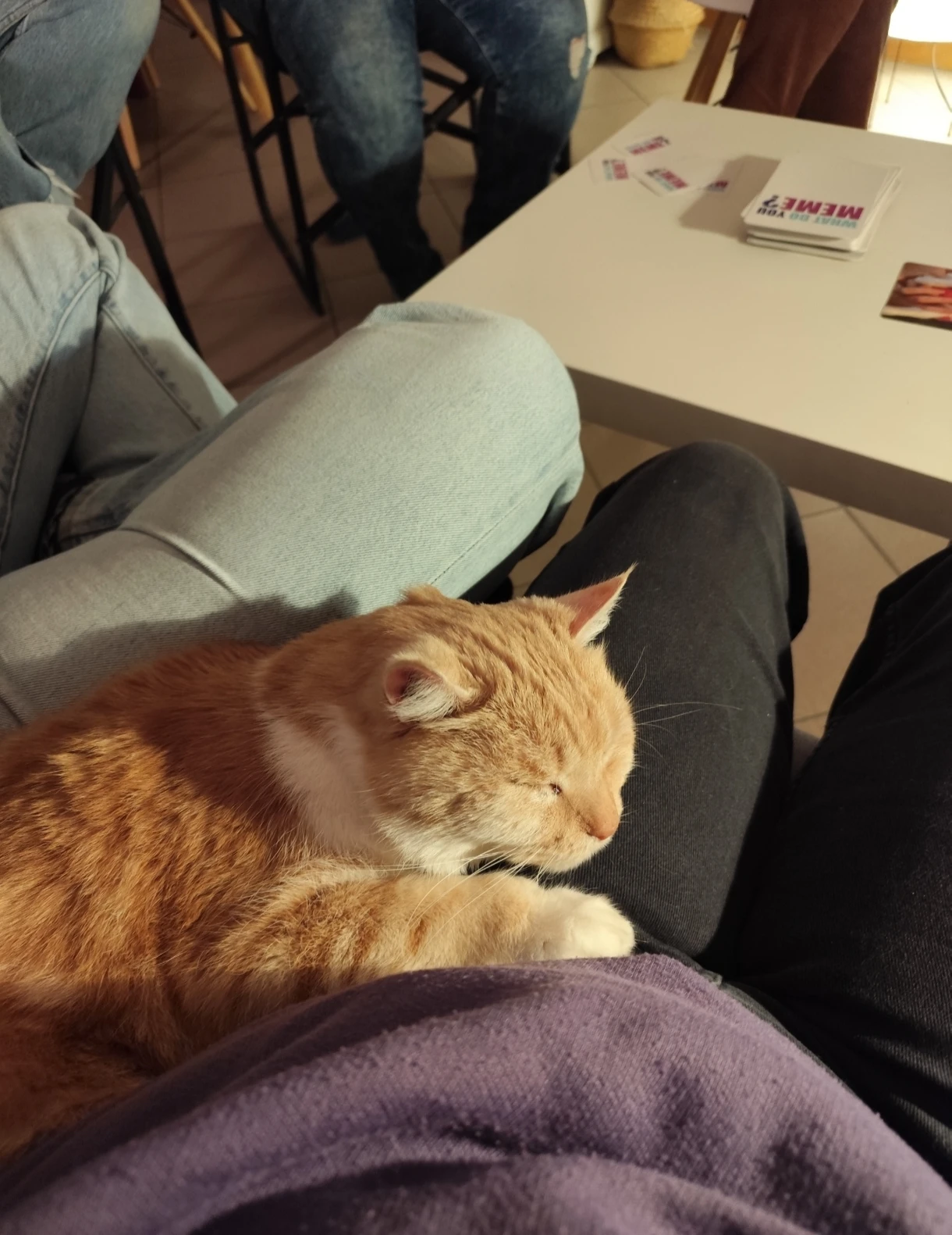 image-7