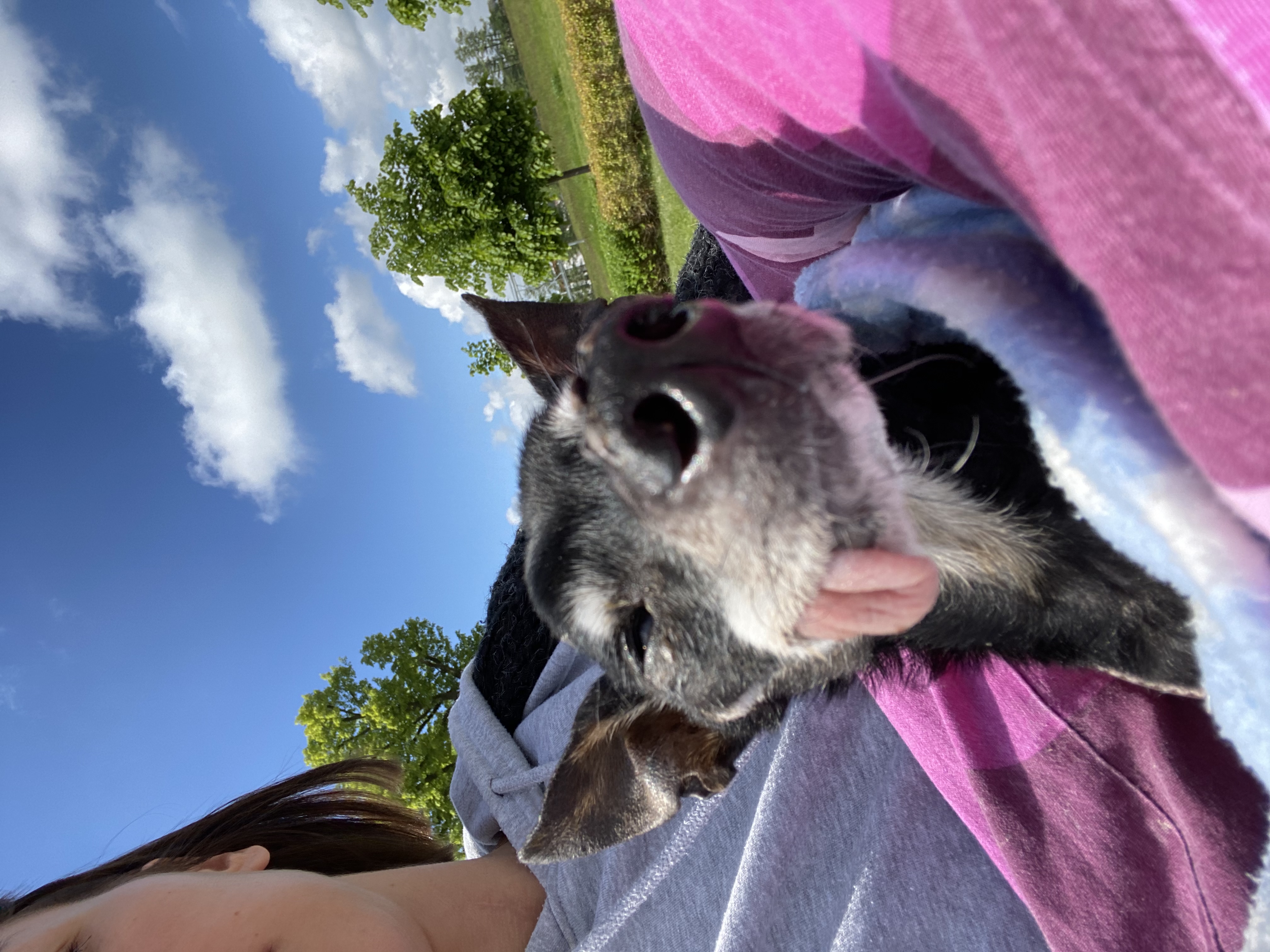 image-16