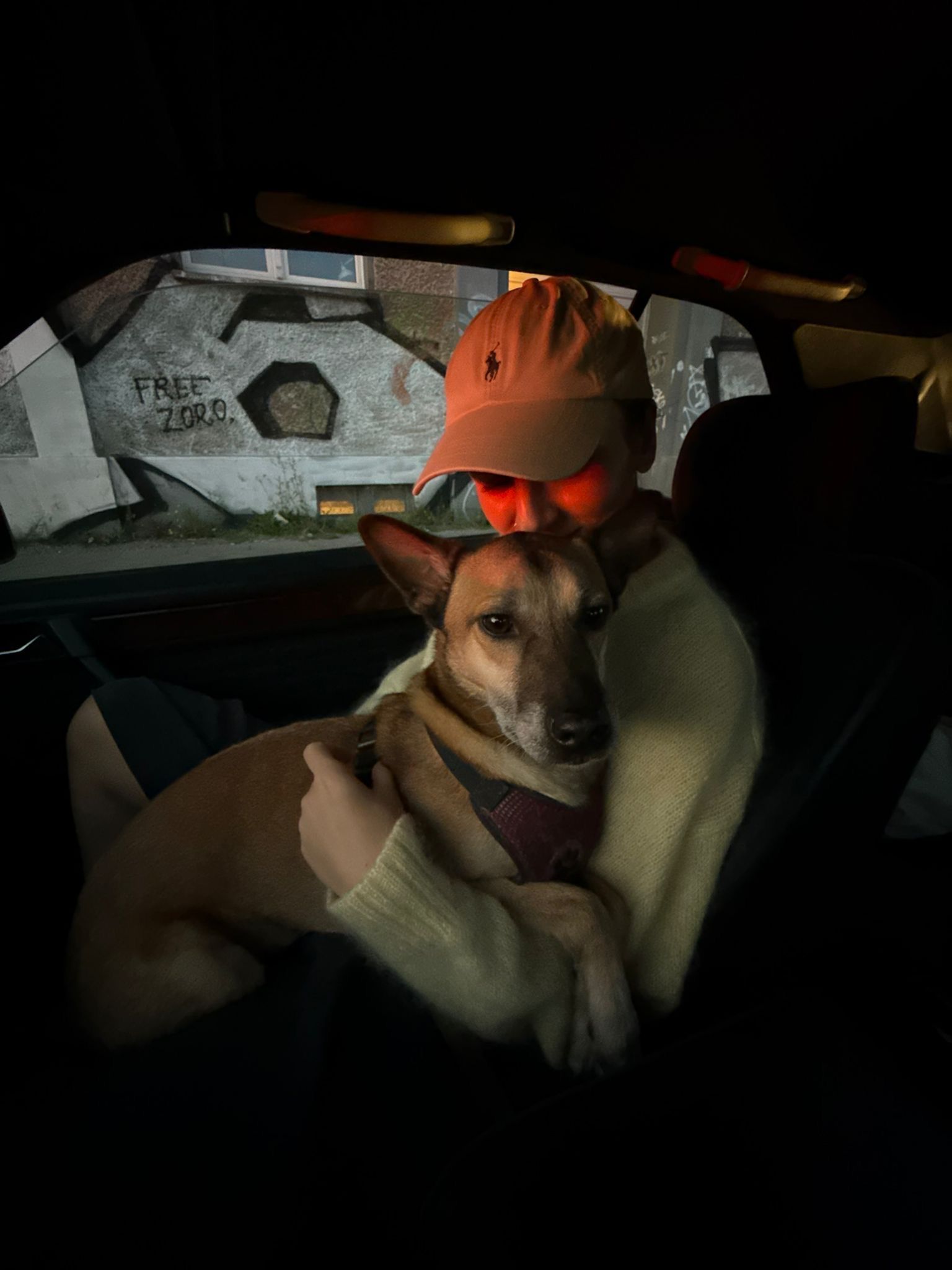 image-15