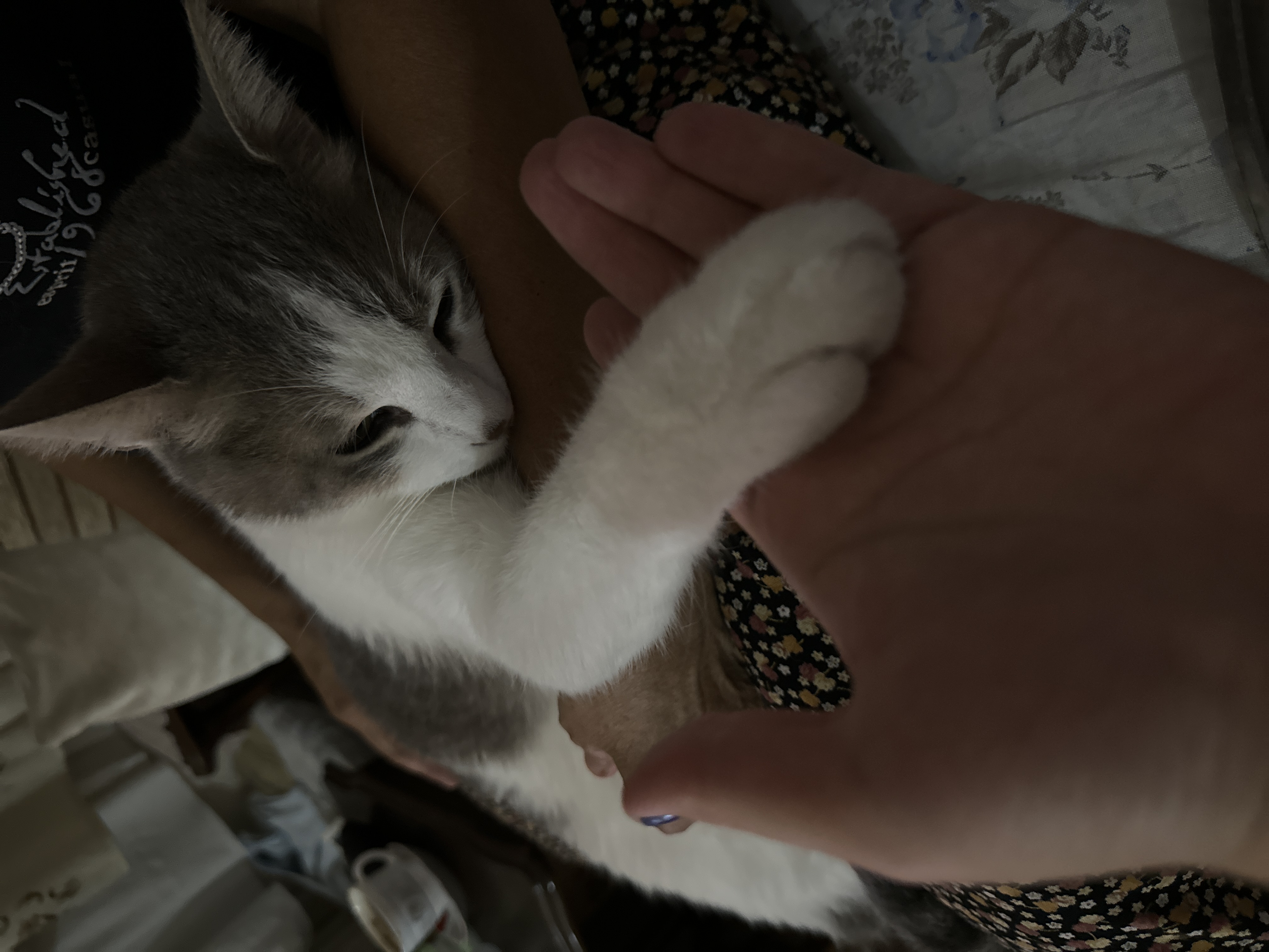 image-5