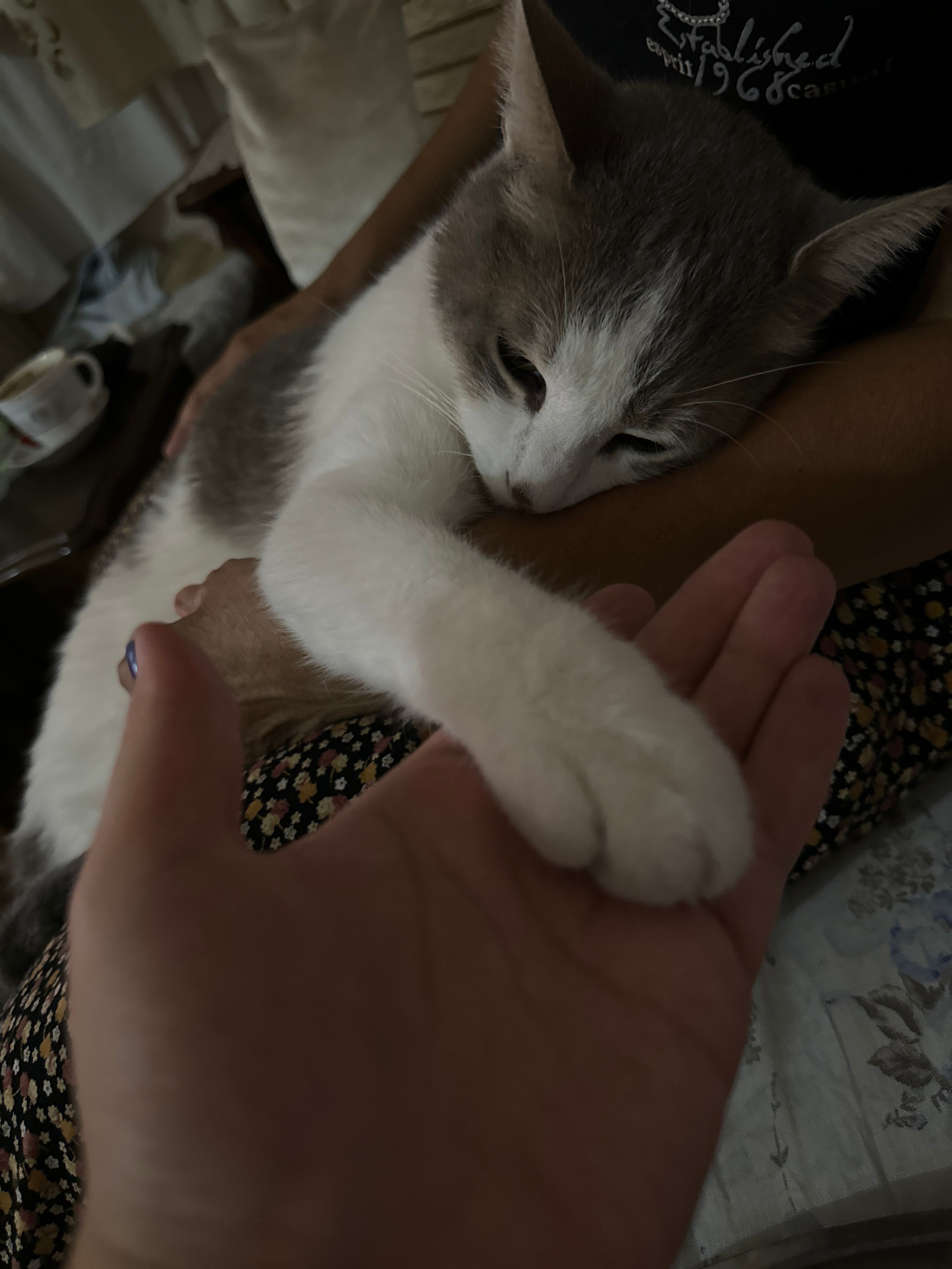 image-5
