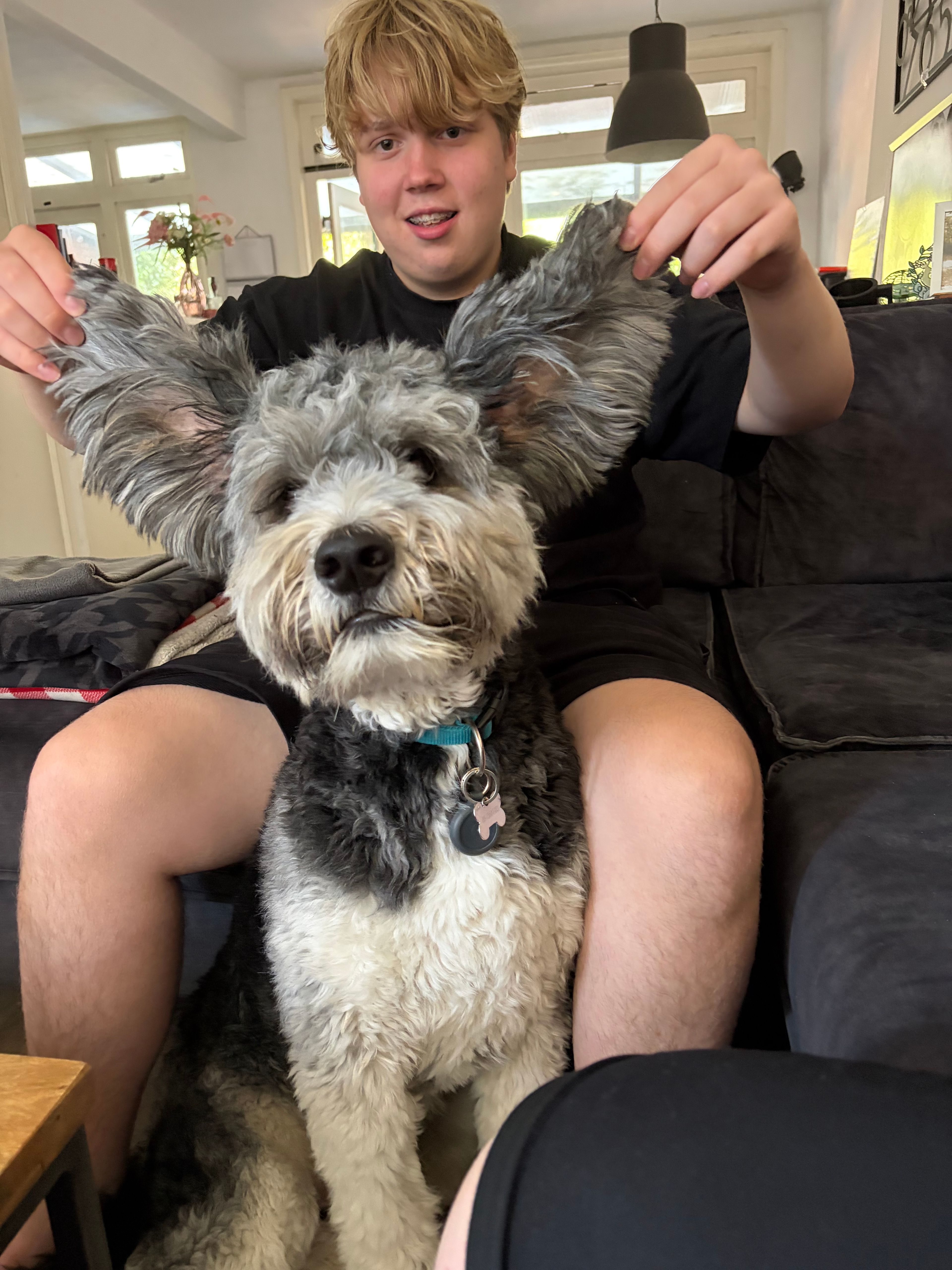 image-20