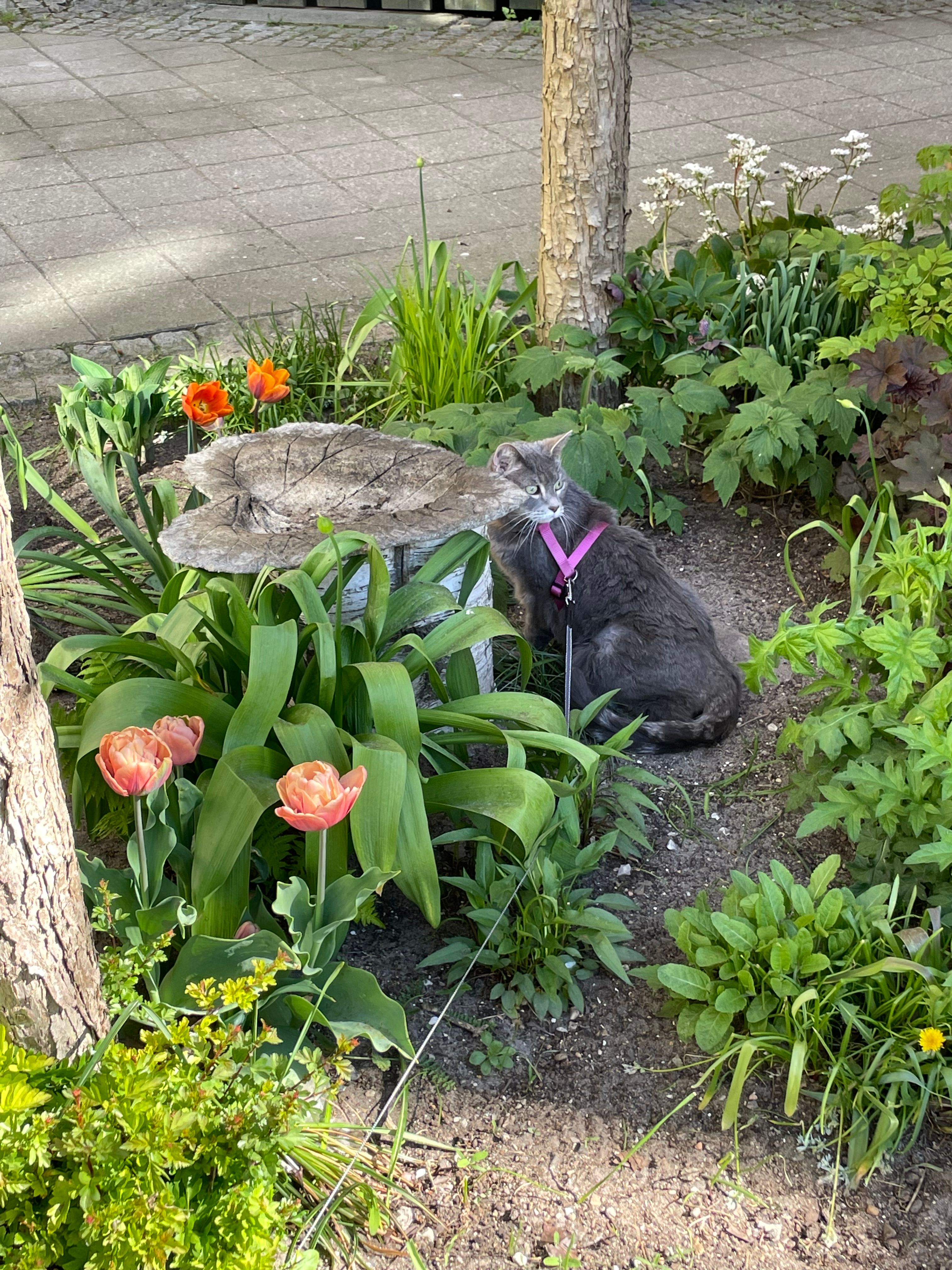 image-11