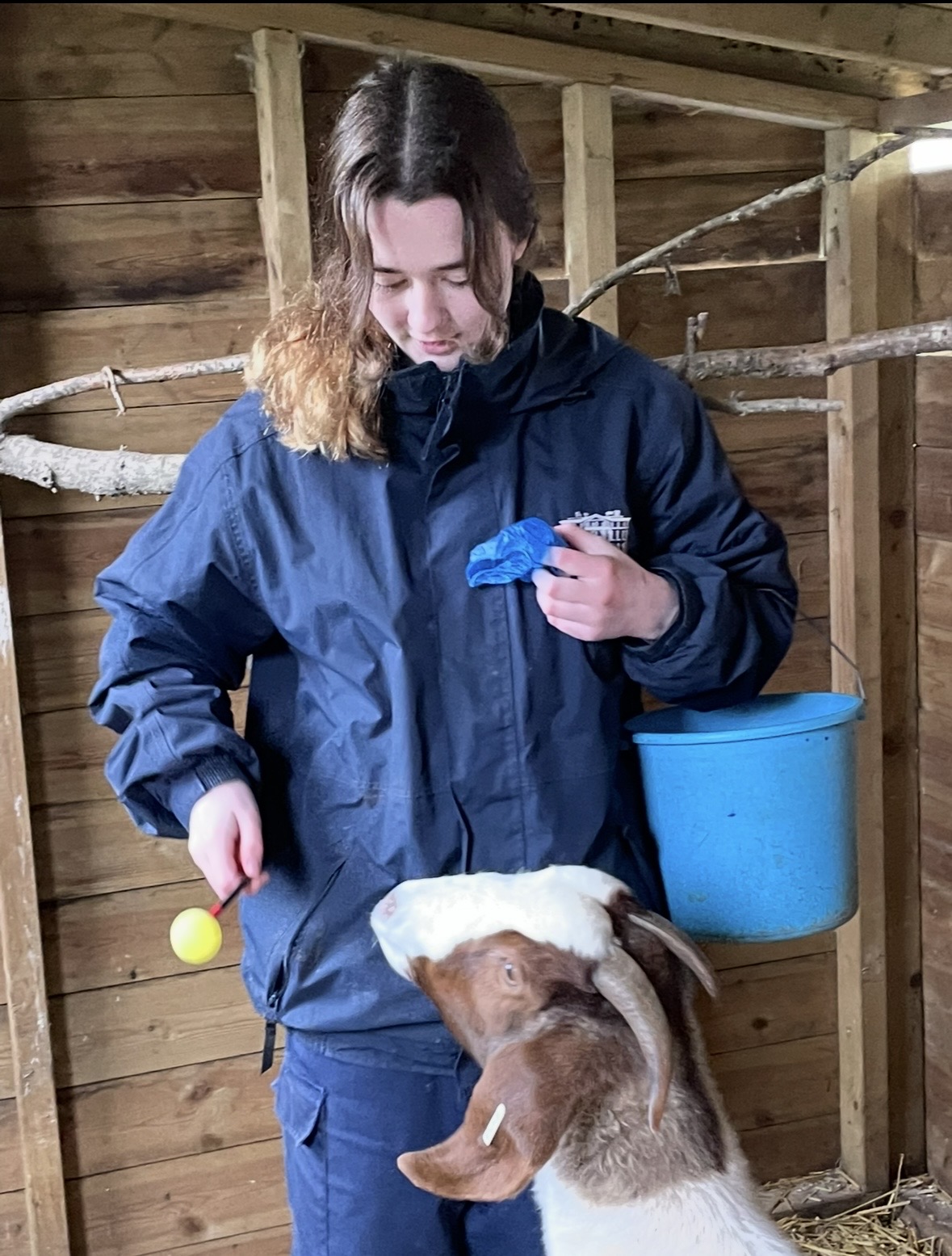 image-8