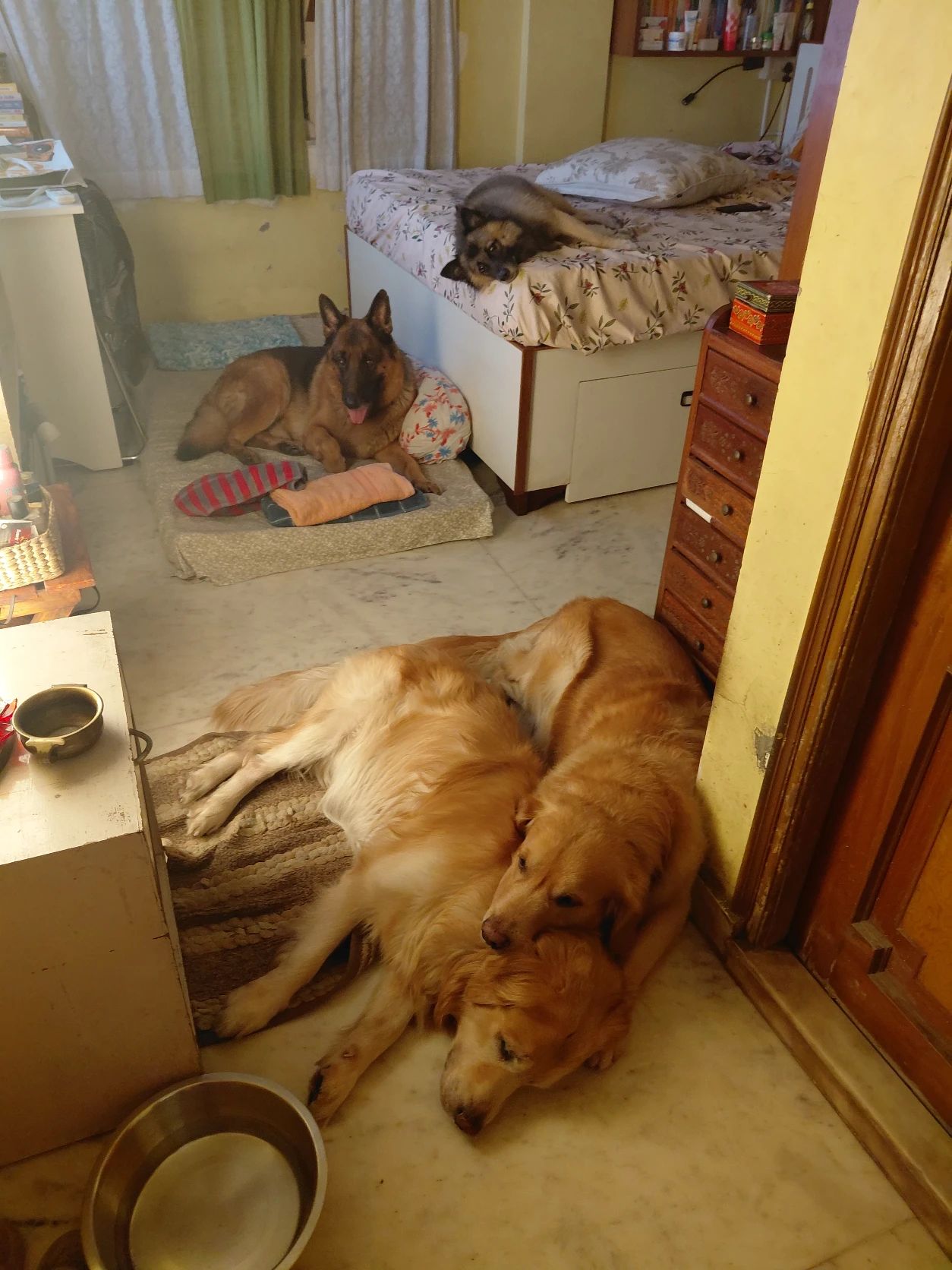 image-9