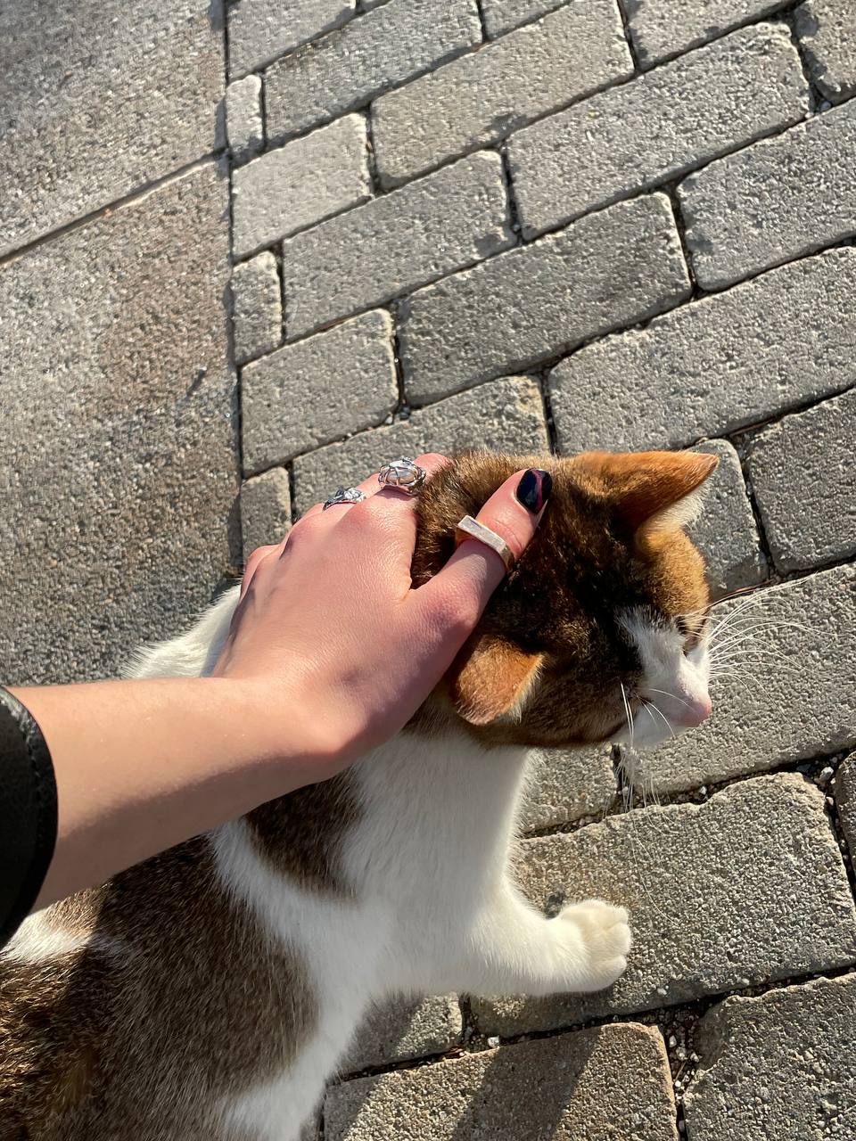 image-16