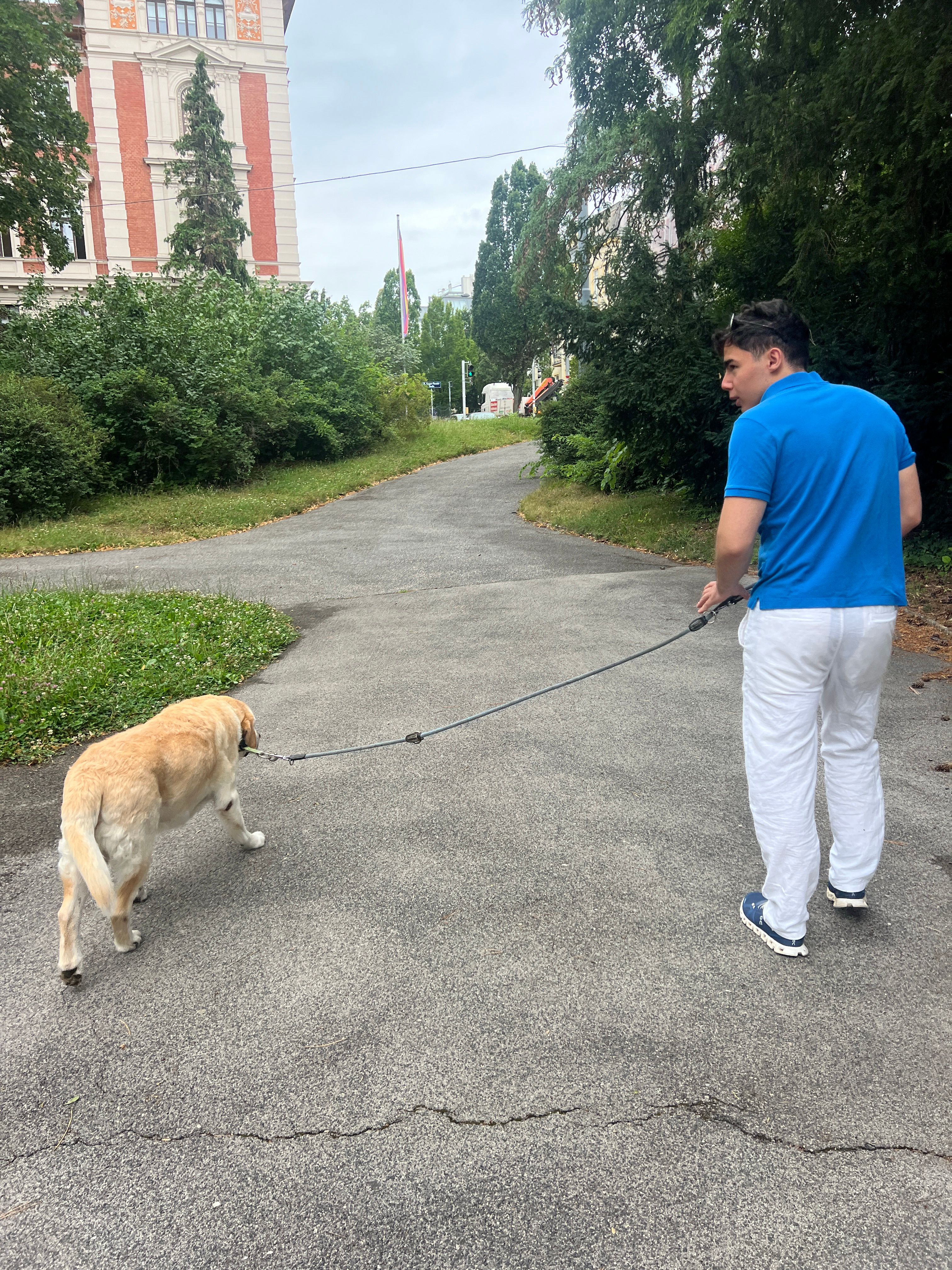 image-7
