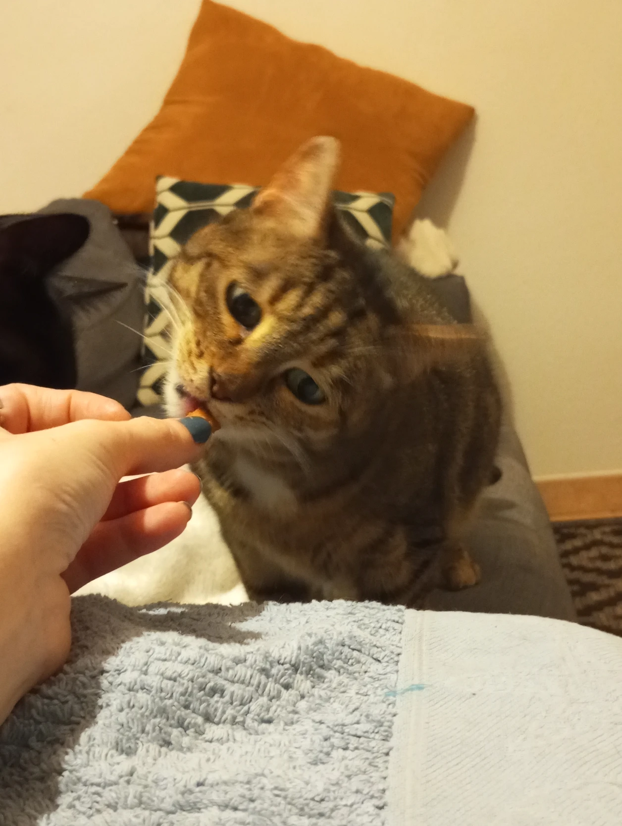 image-6