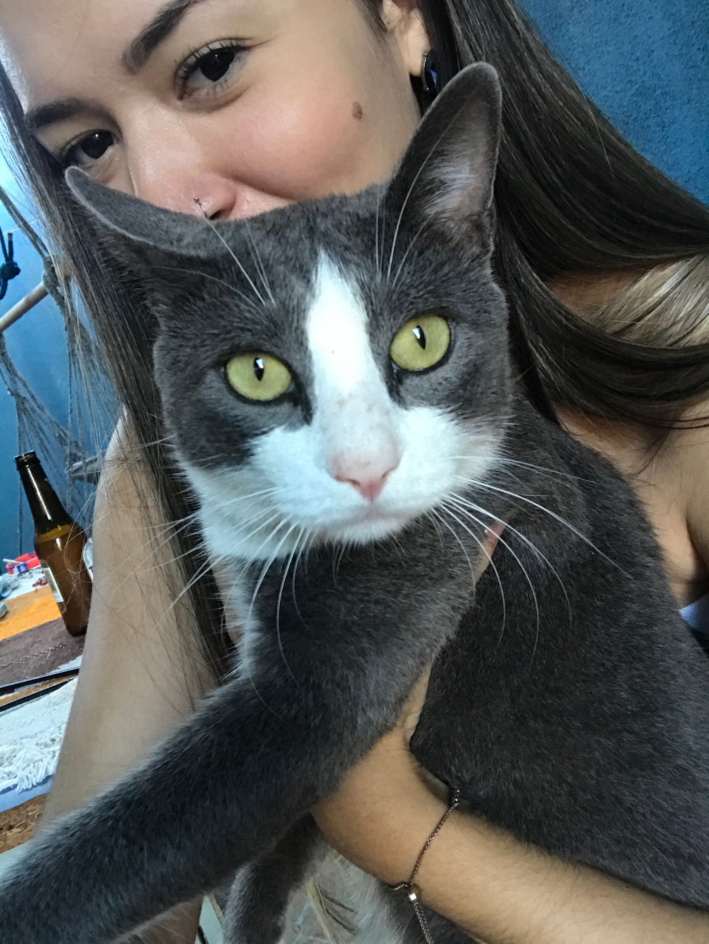 image-8