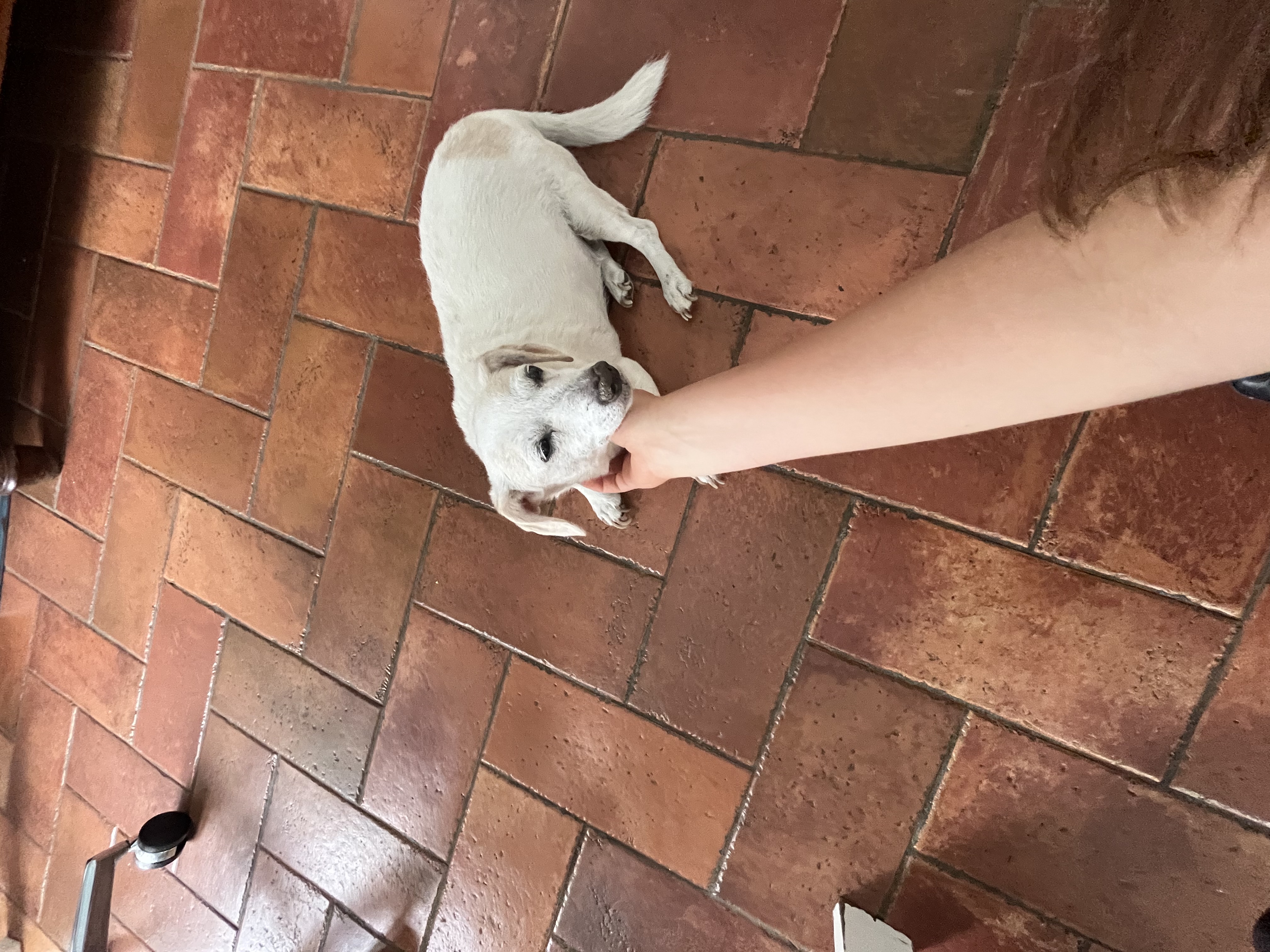 image-10